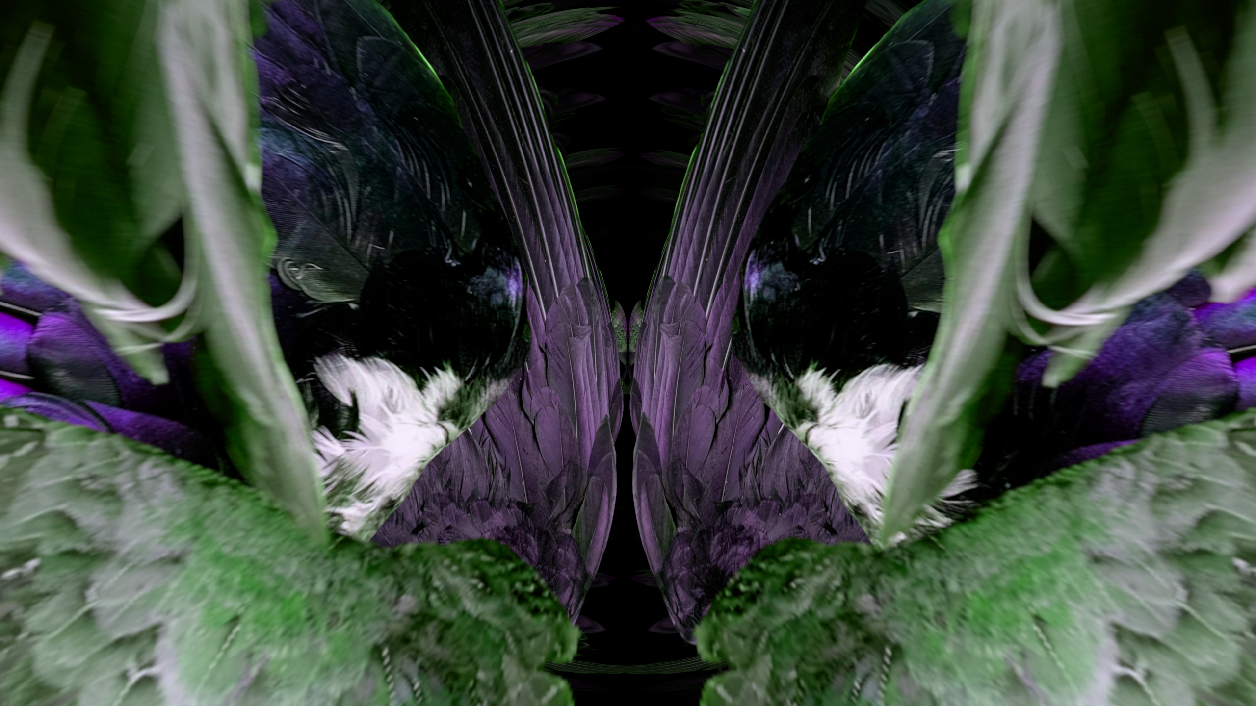 Fuga delle Sirene LXXIII