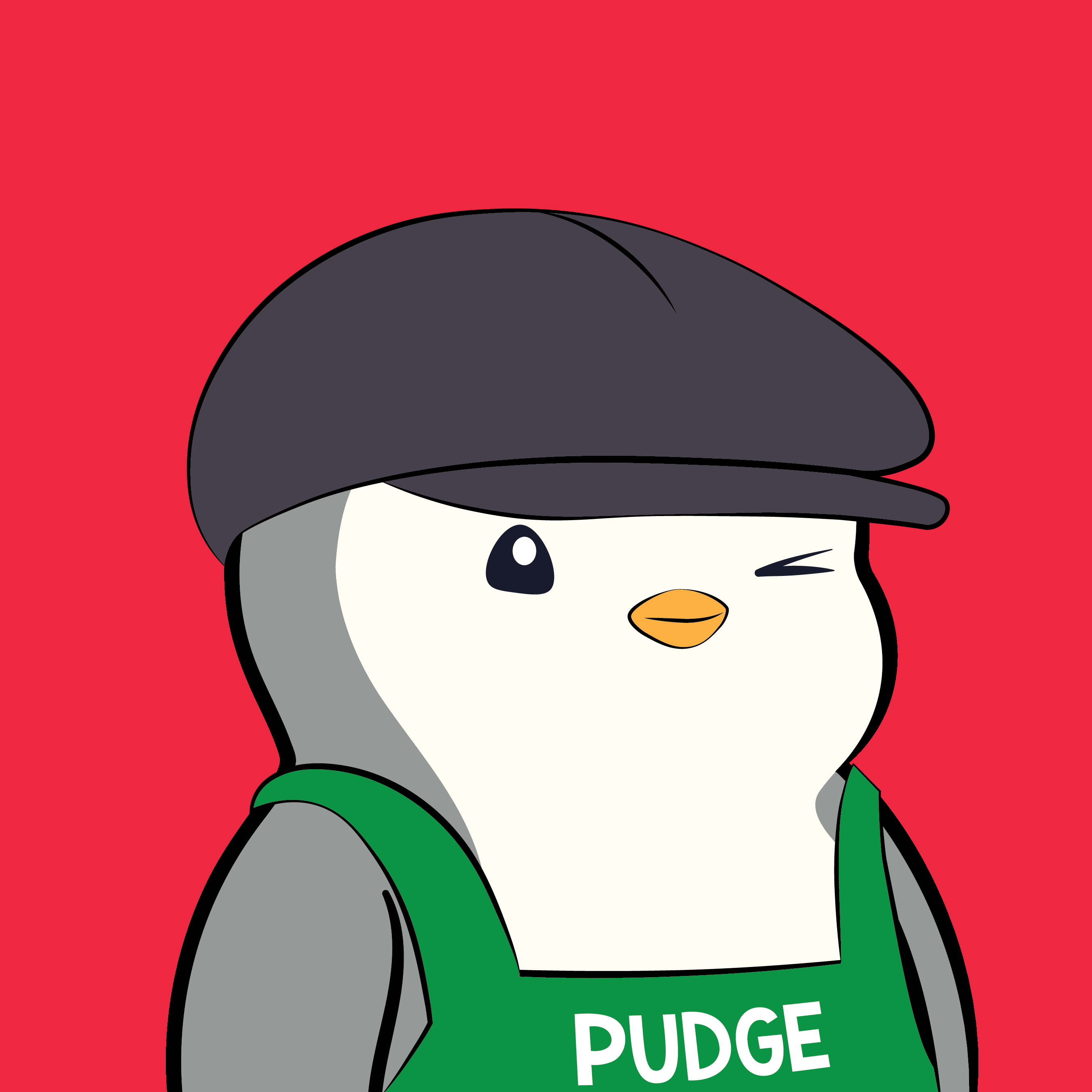 Pudgy #4291