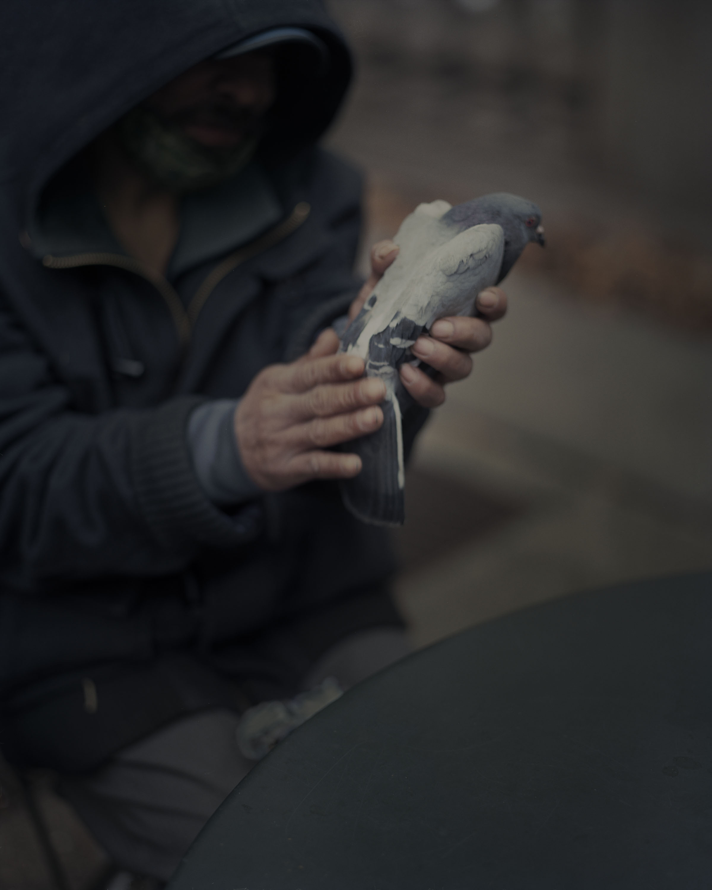 Magnum 75 #17 by Gregory Halpern. New York, USA. 2020