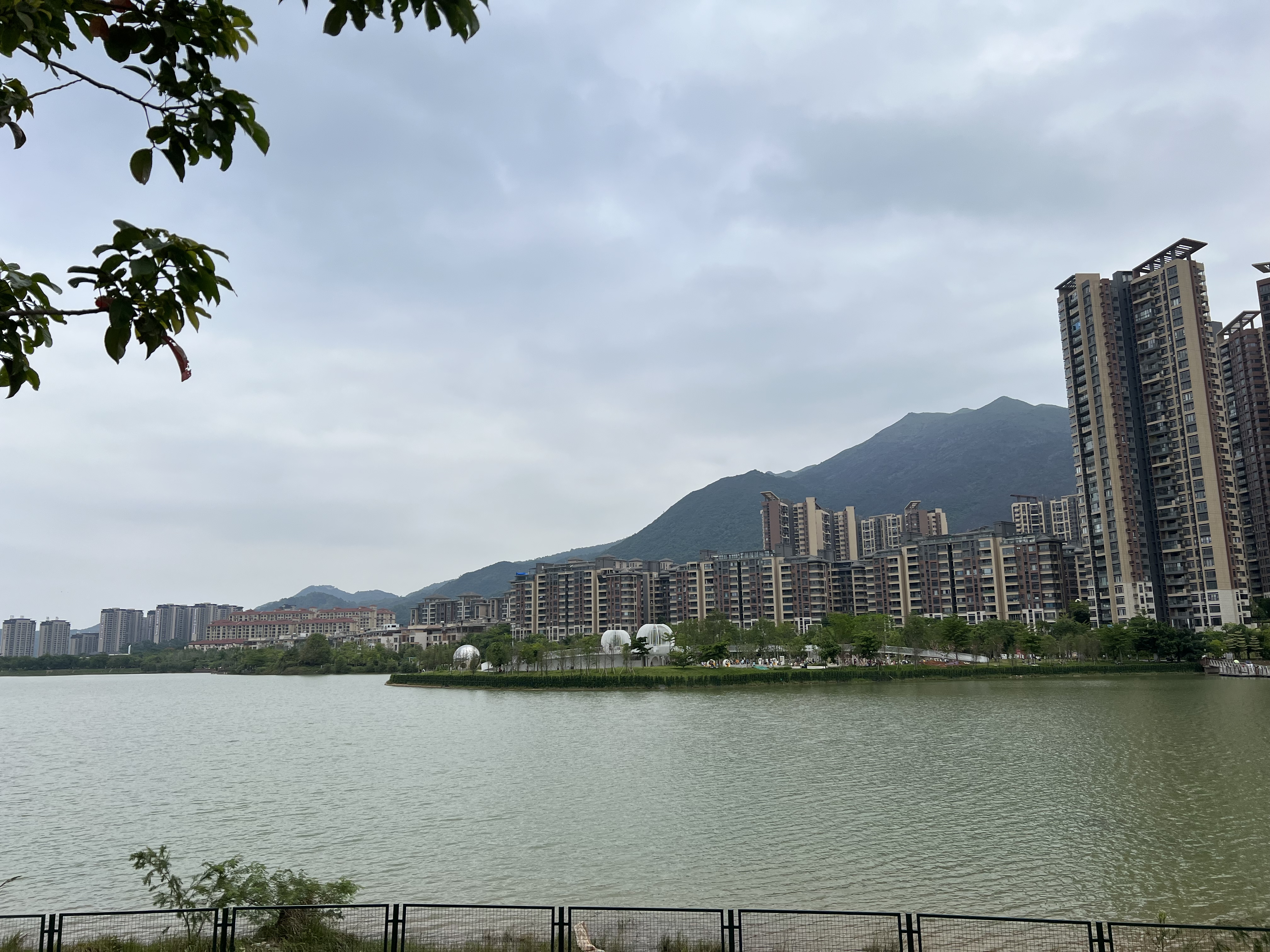 lucky5230 (0x666123.linea.eth) Linea Name Service (.linea.eth domains) based on ENS PFP