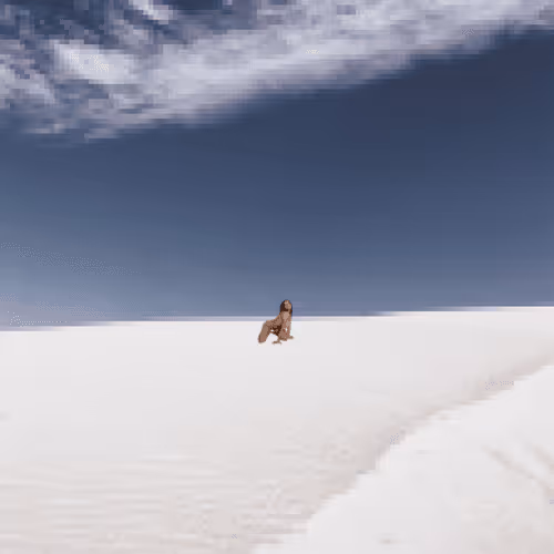 Nude Pixels in Nature_008