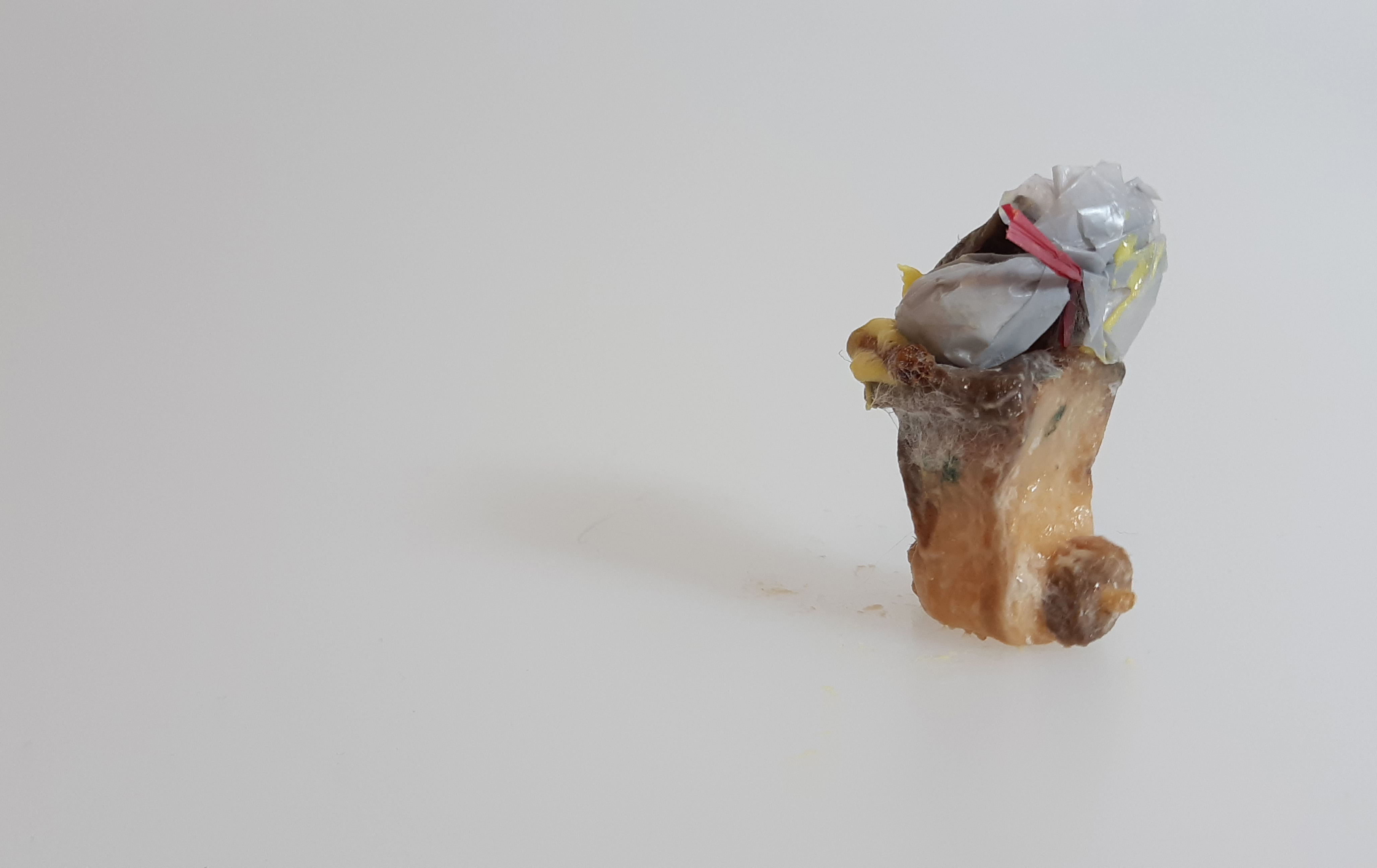 Trash is Copyright, Banana is Art and [rotten-step2] Potato is Meh!