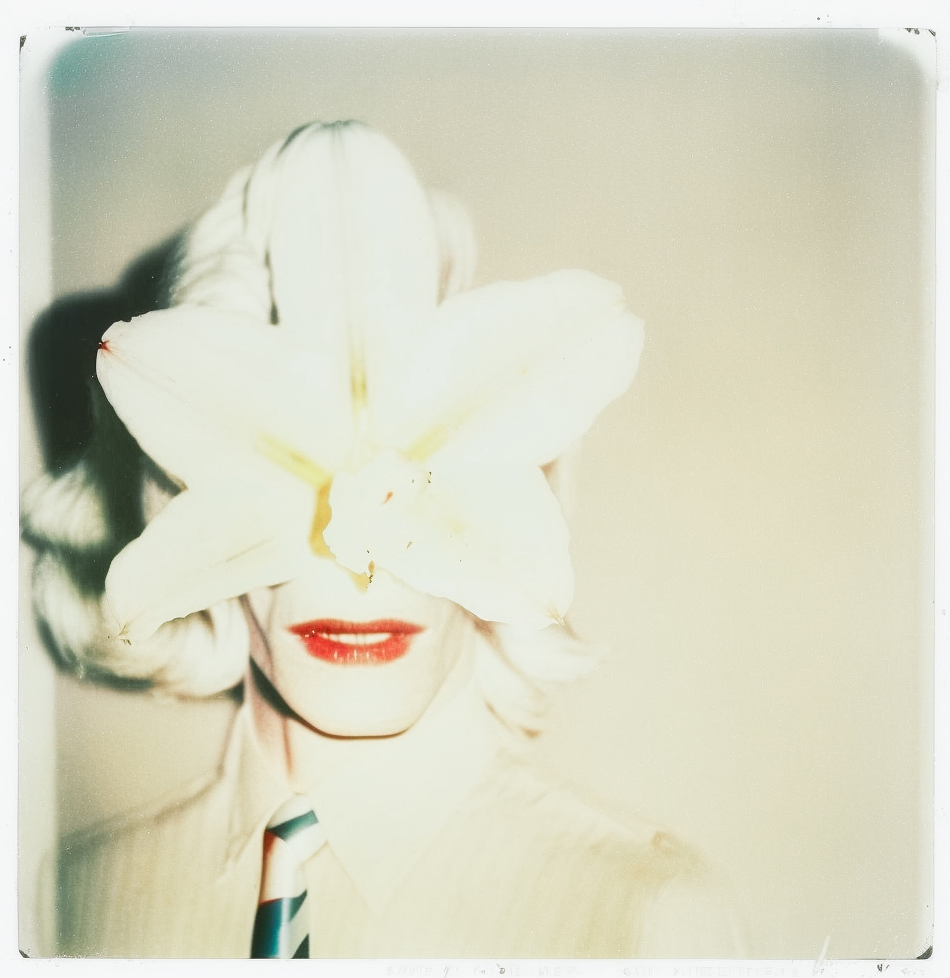 Hibiscus, Instant Photo (polaroid), 1979