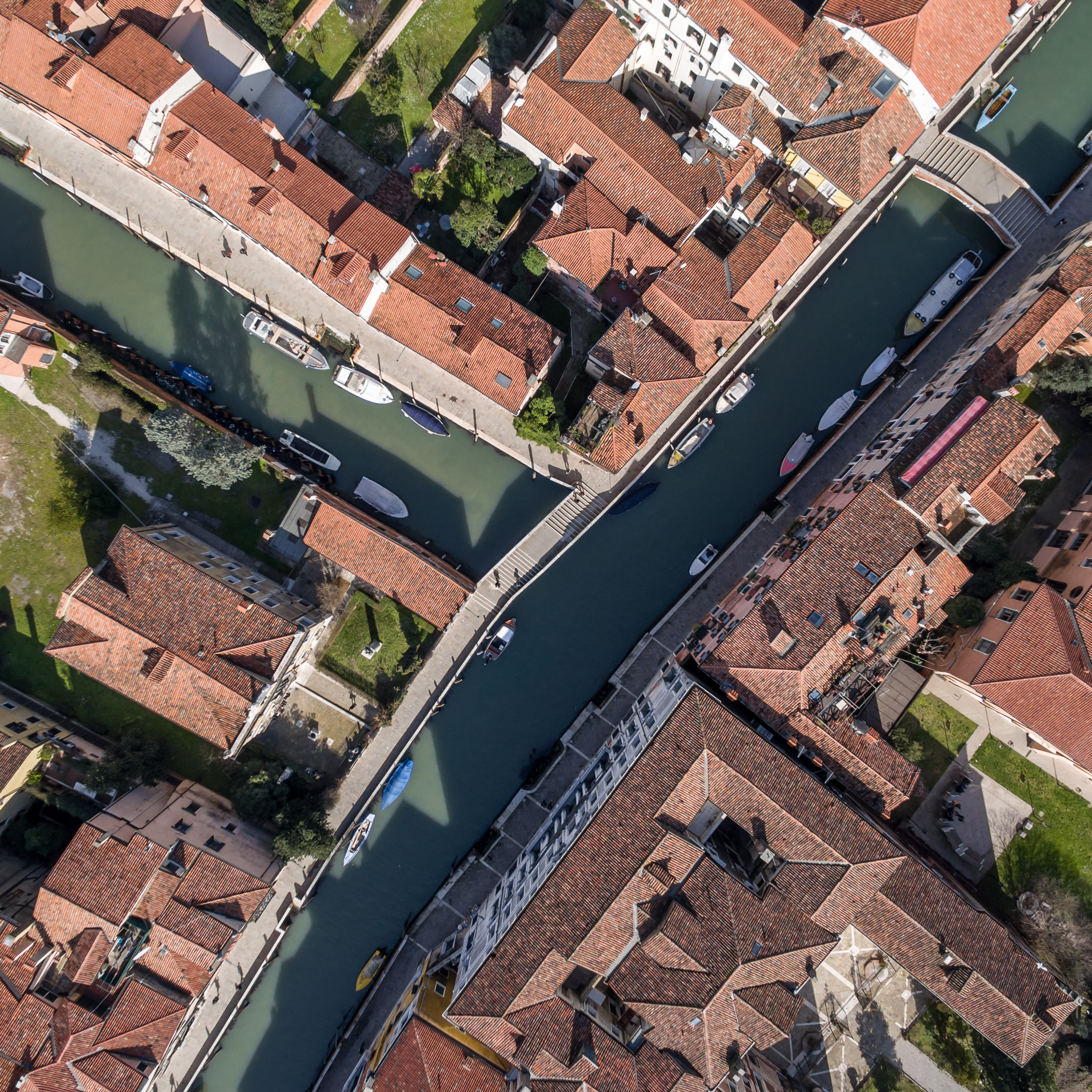 Crossings (Venice) 6/25