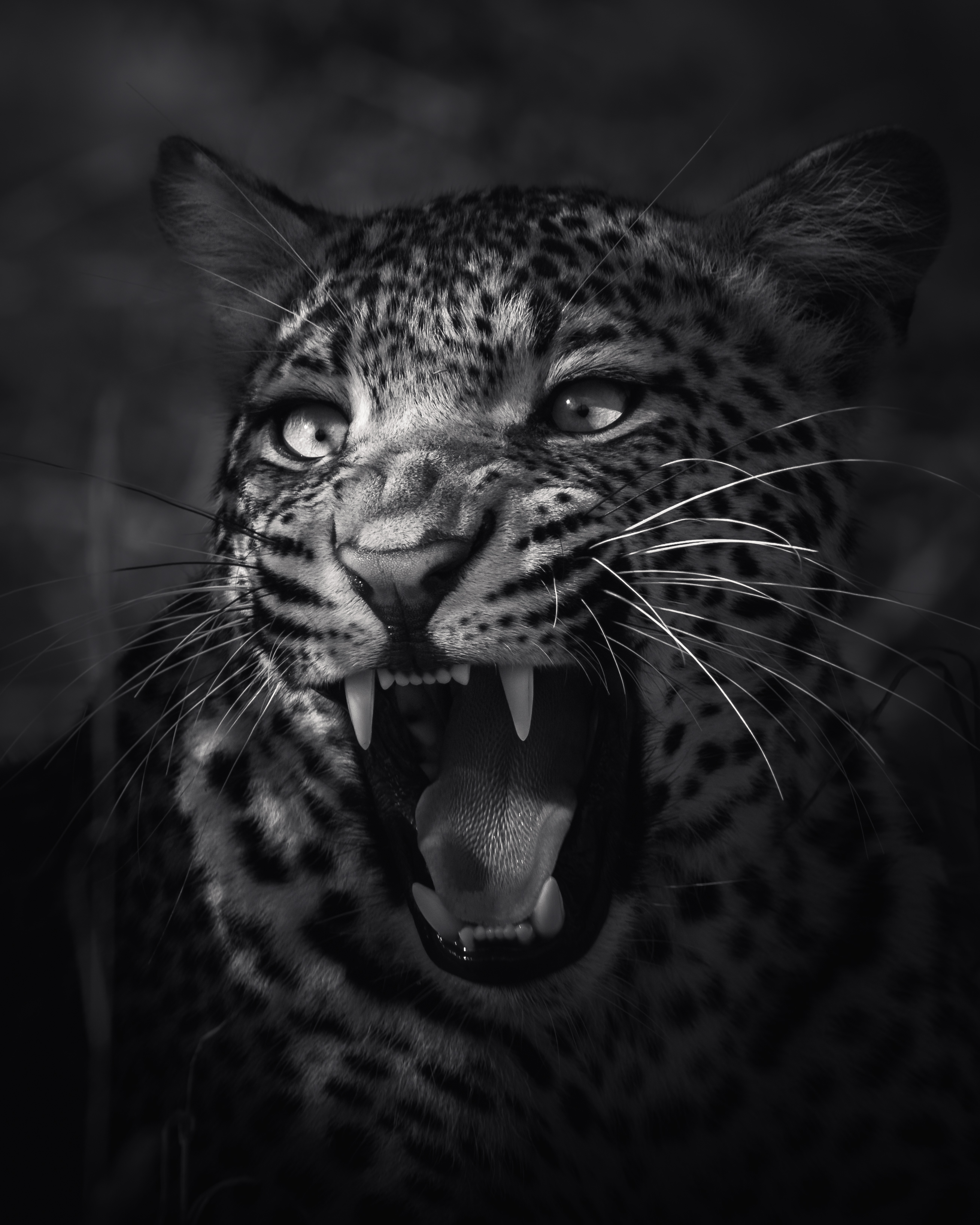 ‘Son of Moya’ #7