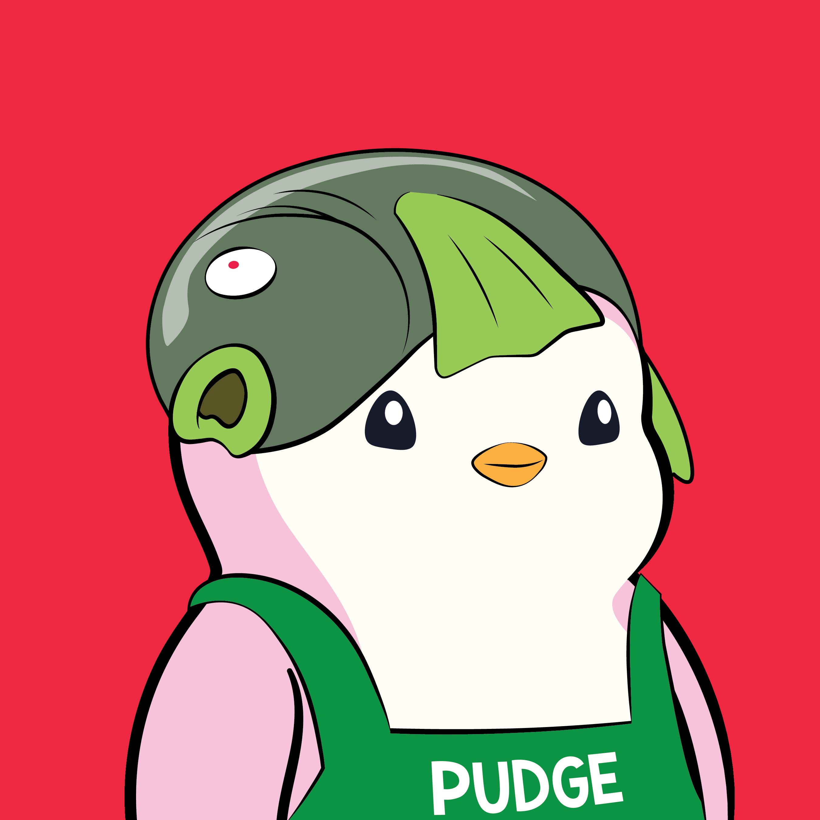 Pudgy #4551