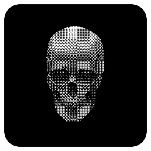 THE FIRST SKULL