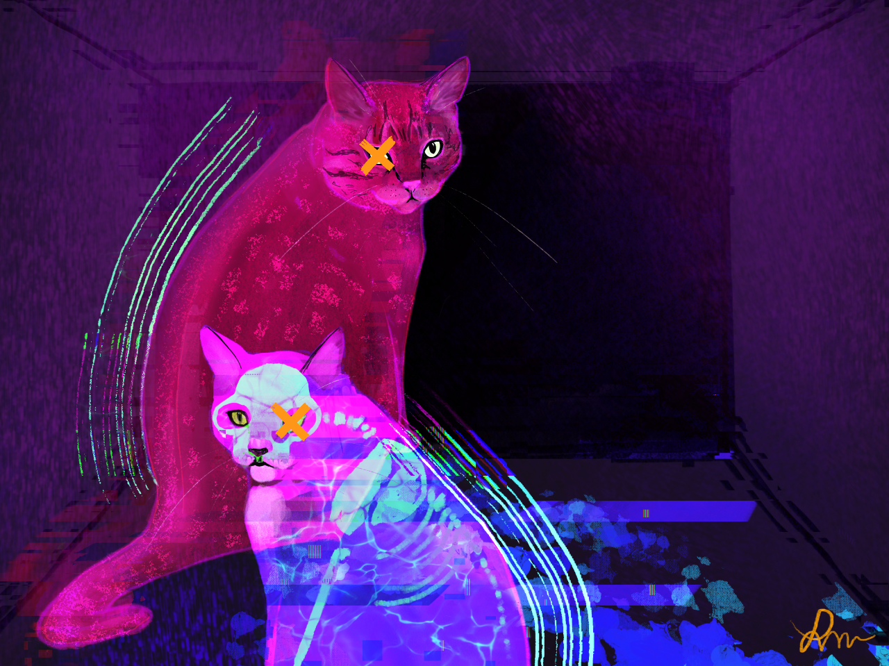 Cat's Schrödinger