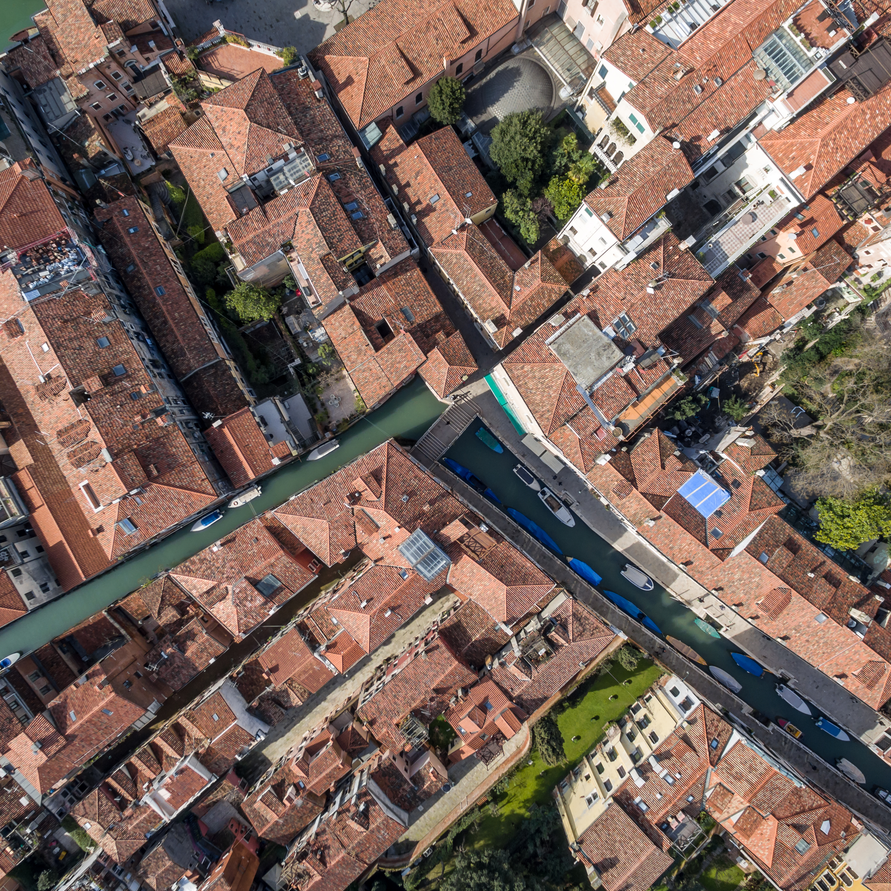 Crossings (Venice) 3/25