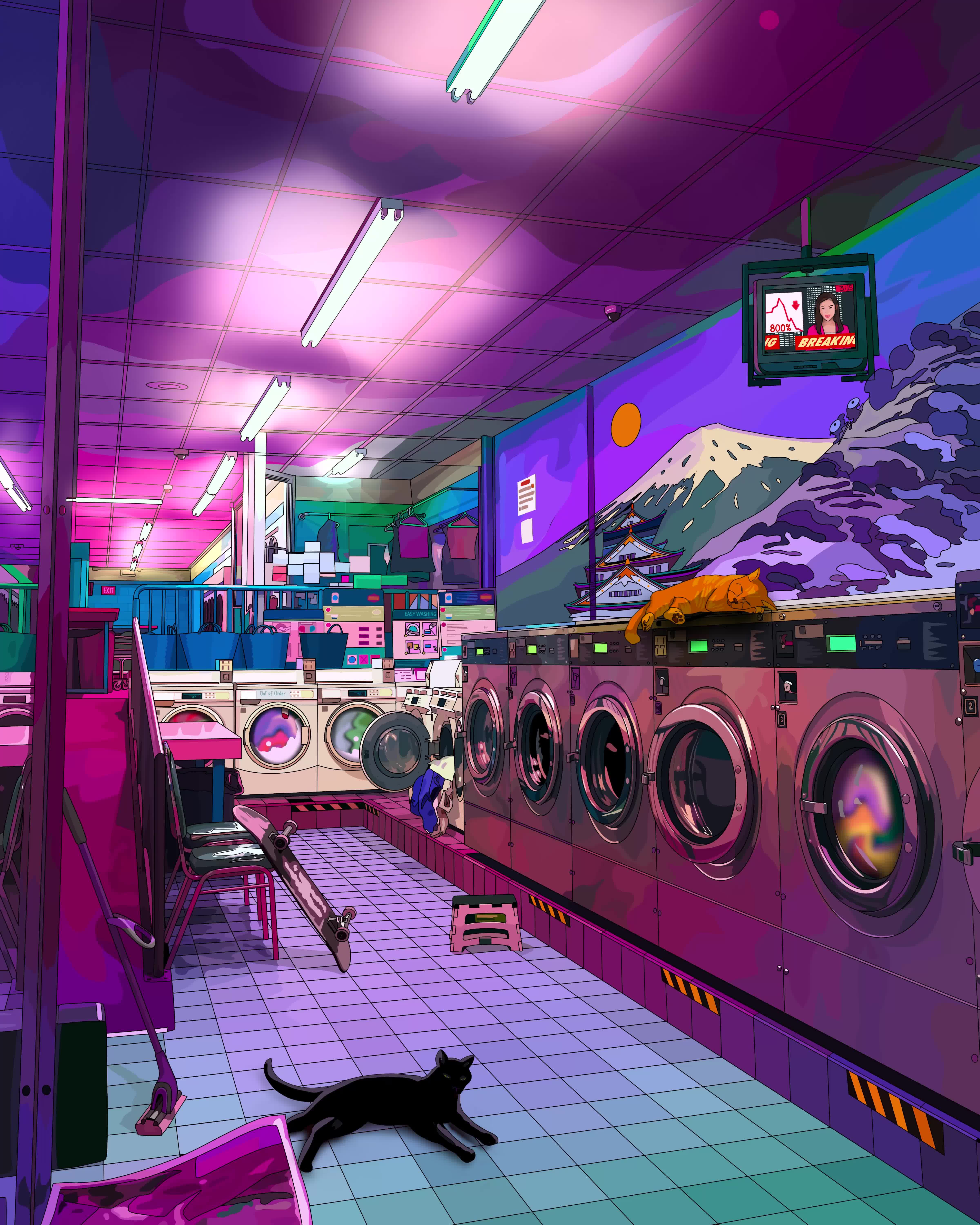 Why would I care I'm just a cat? #90/911