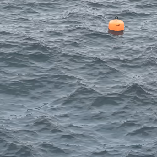 The Lonely Buoy