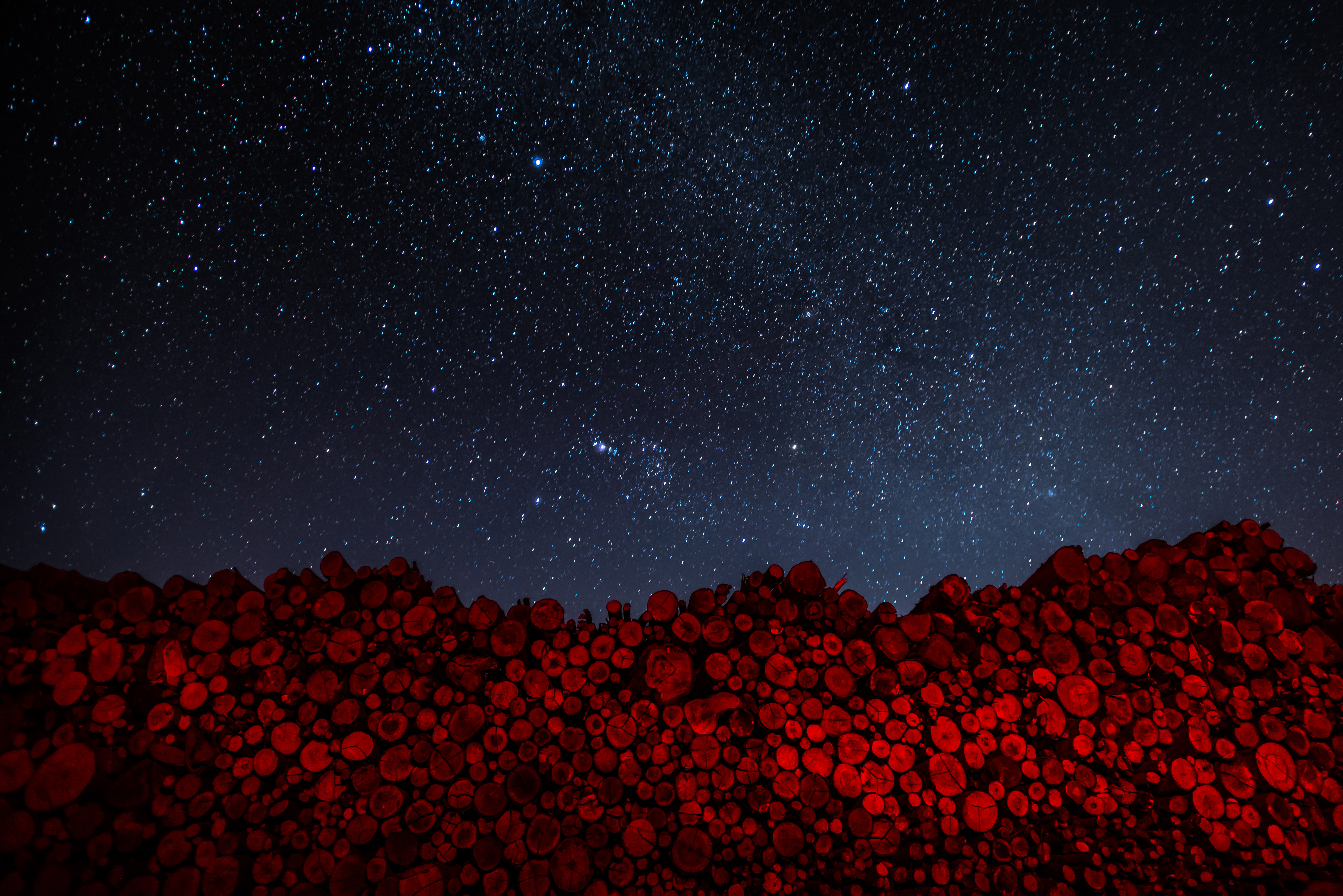 Red collection - Cosmos