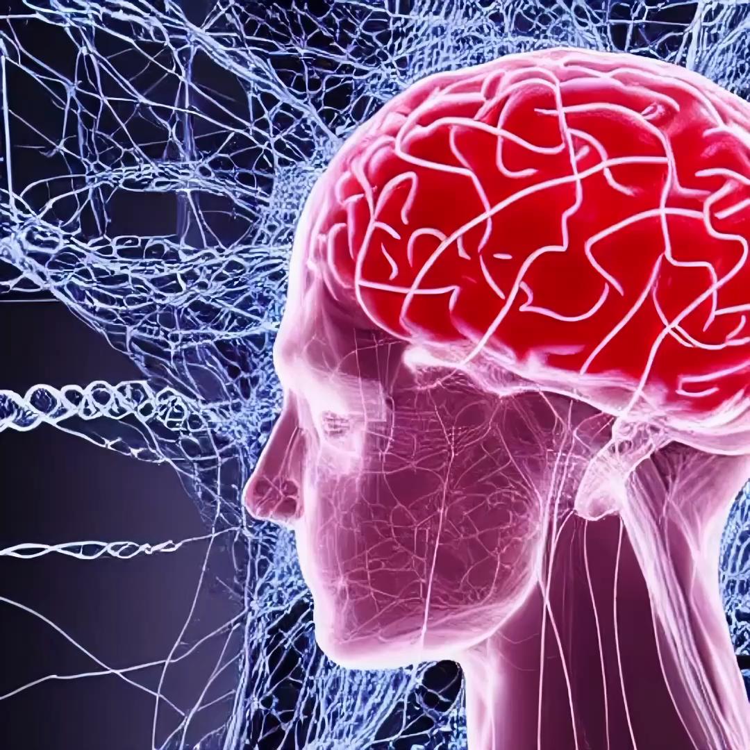 Domingo Pablo - Portal Meditation 15 "Brain Dive"