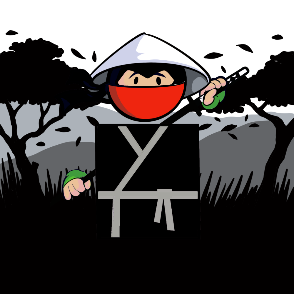Shape Ninjas #1305