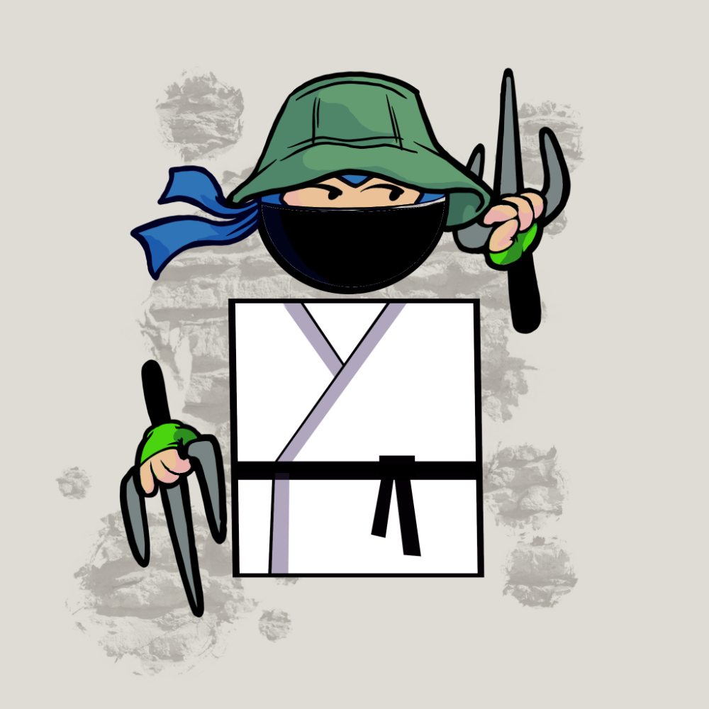 Shape Ninjas #1298