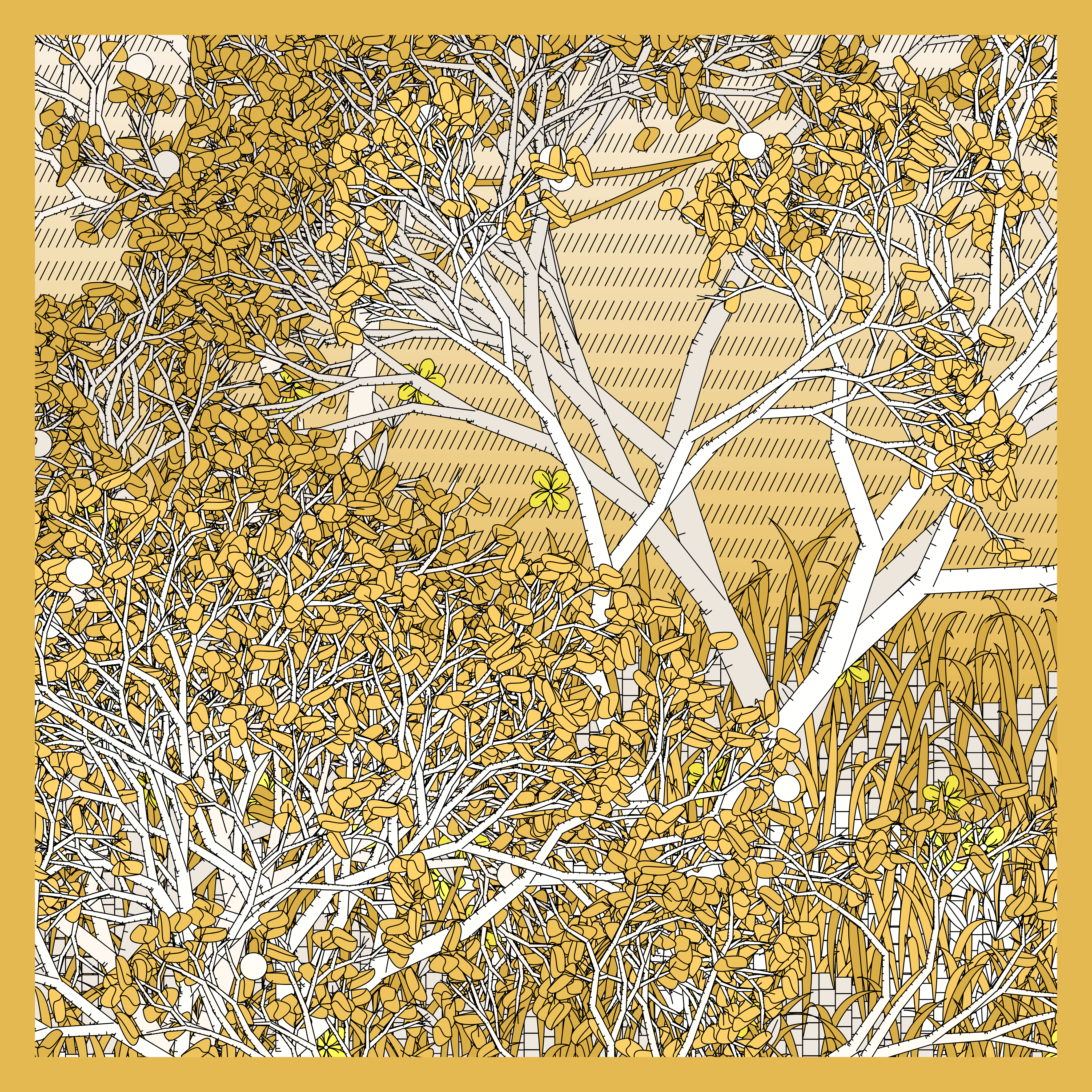 Entangled #63