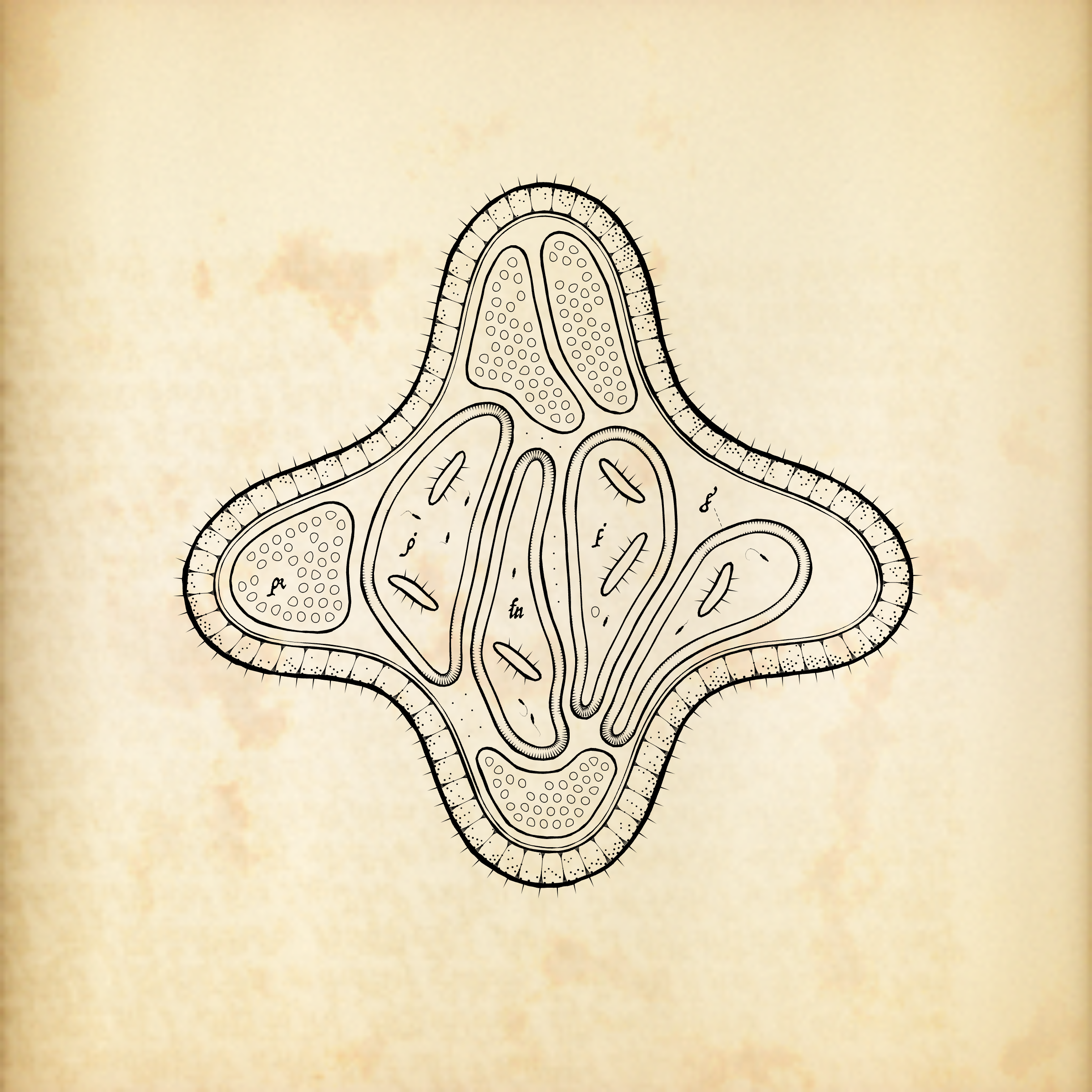Cytographia #283