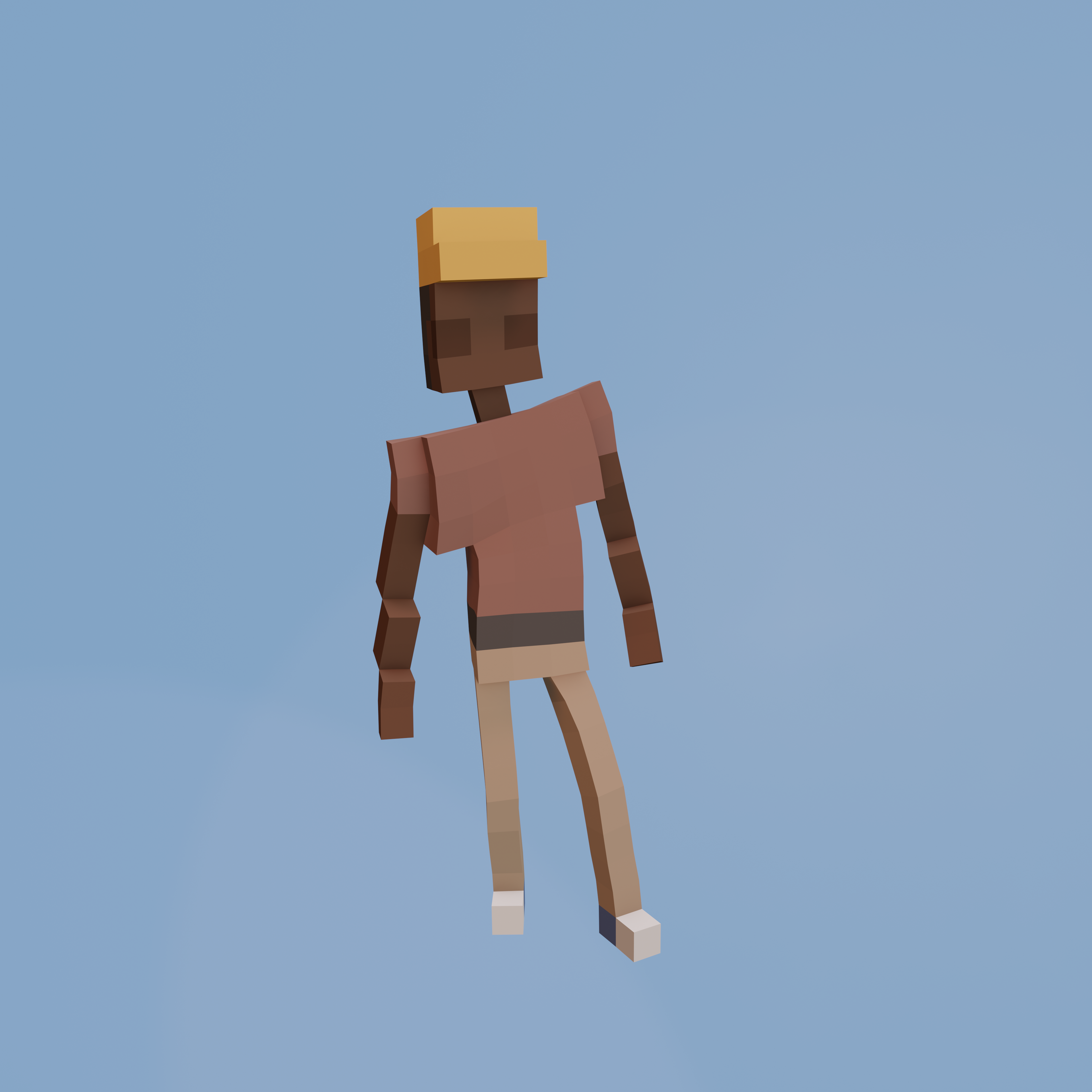 Voxel Ville Avatar #508