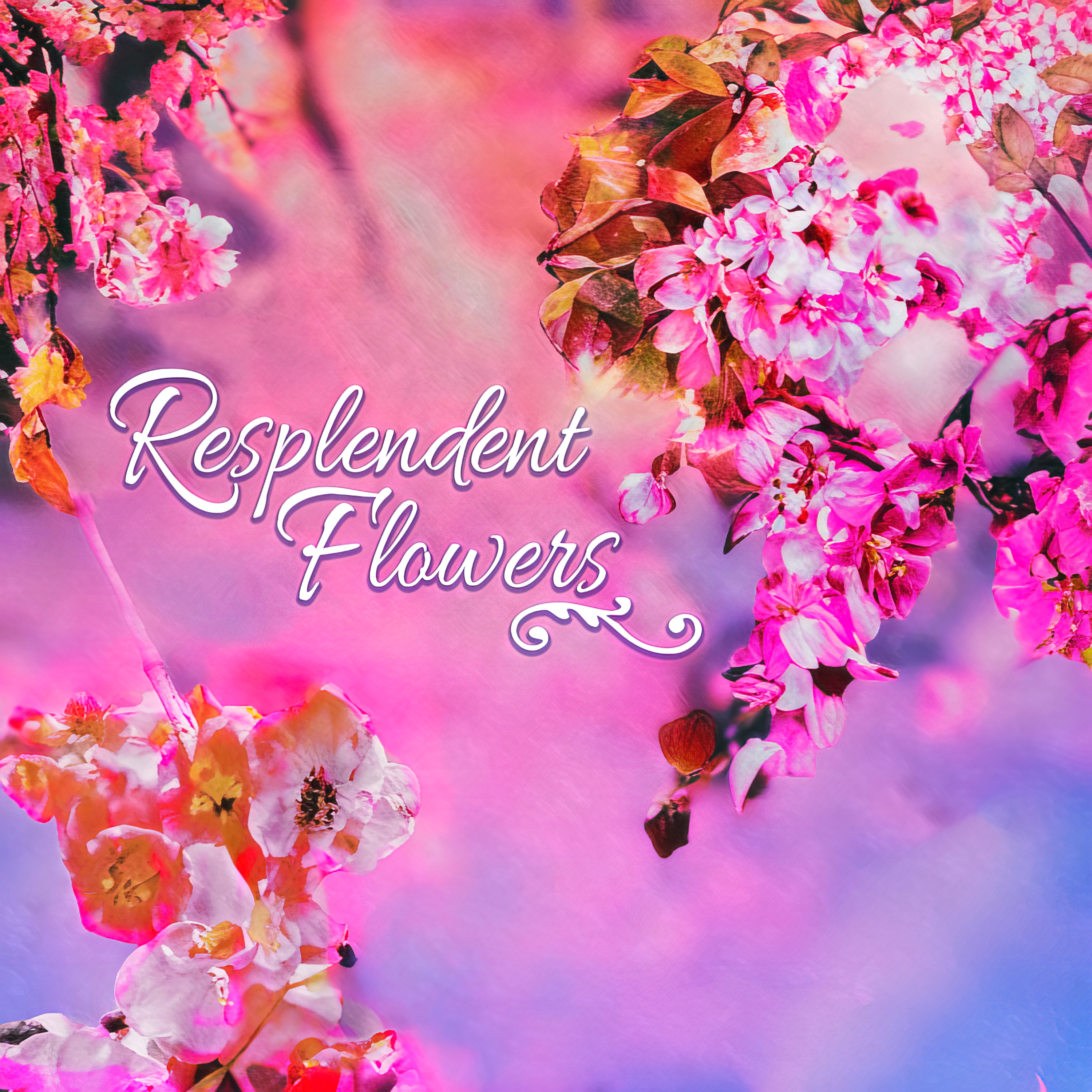 Music meets "Sakura Vista" Short ver.