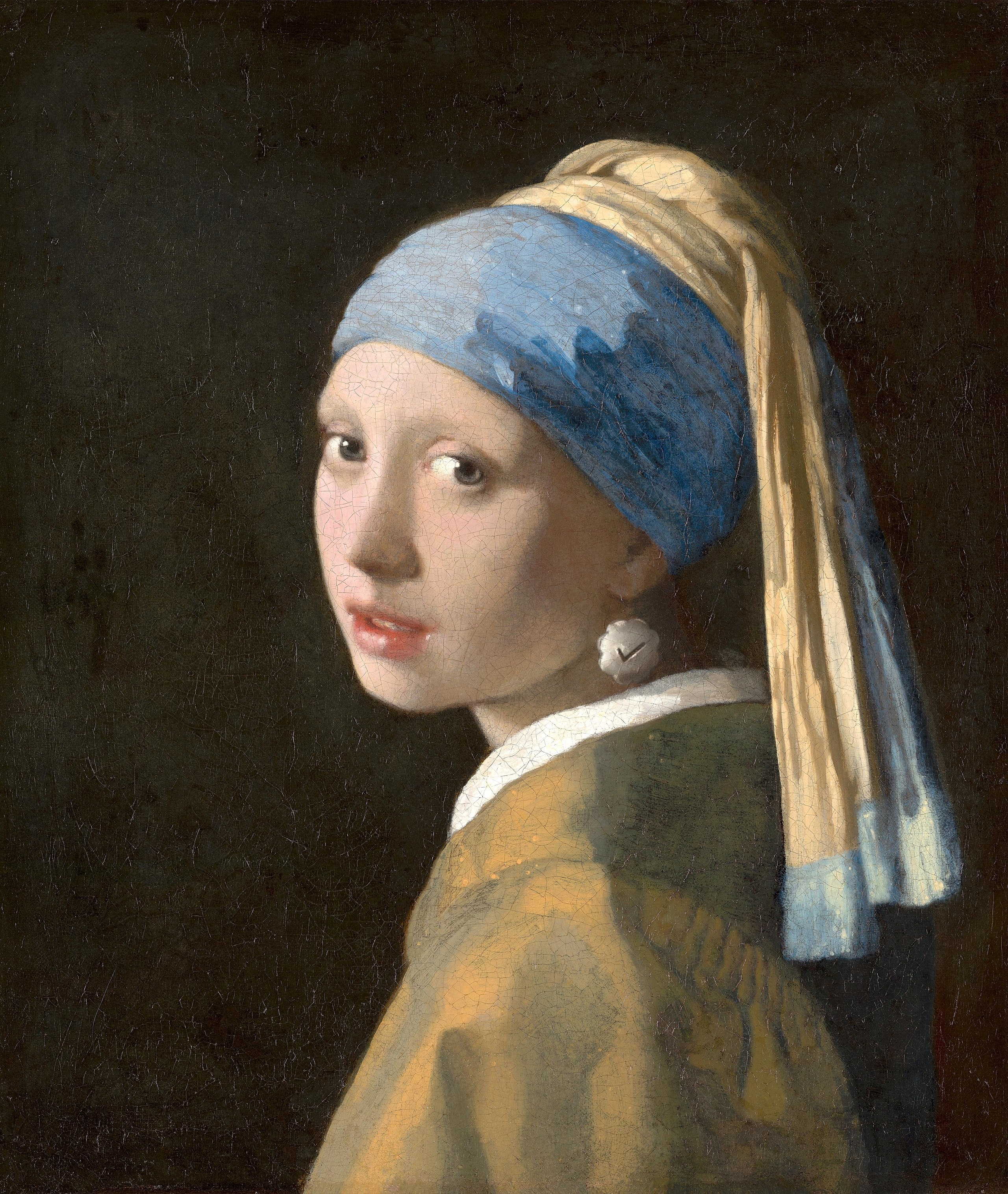 Girl With A Verified Earring 3083