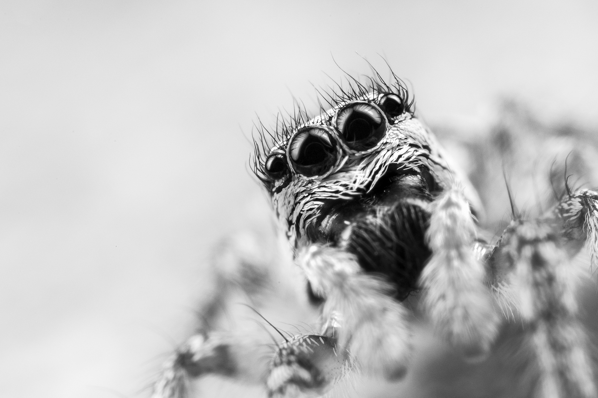 The eyes have it! #15/30