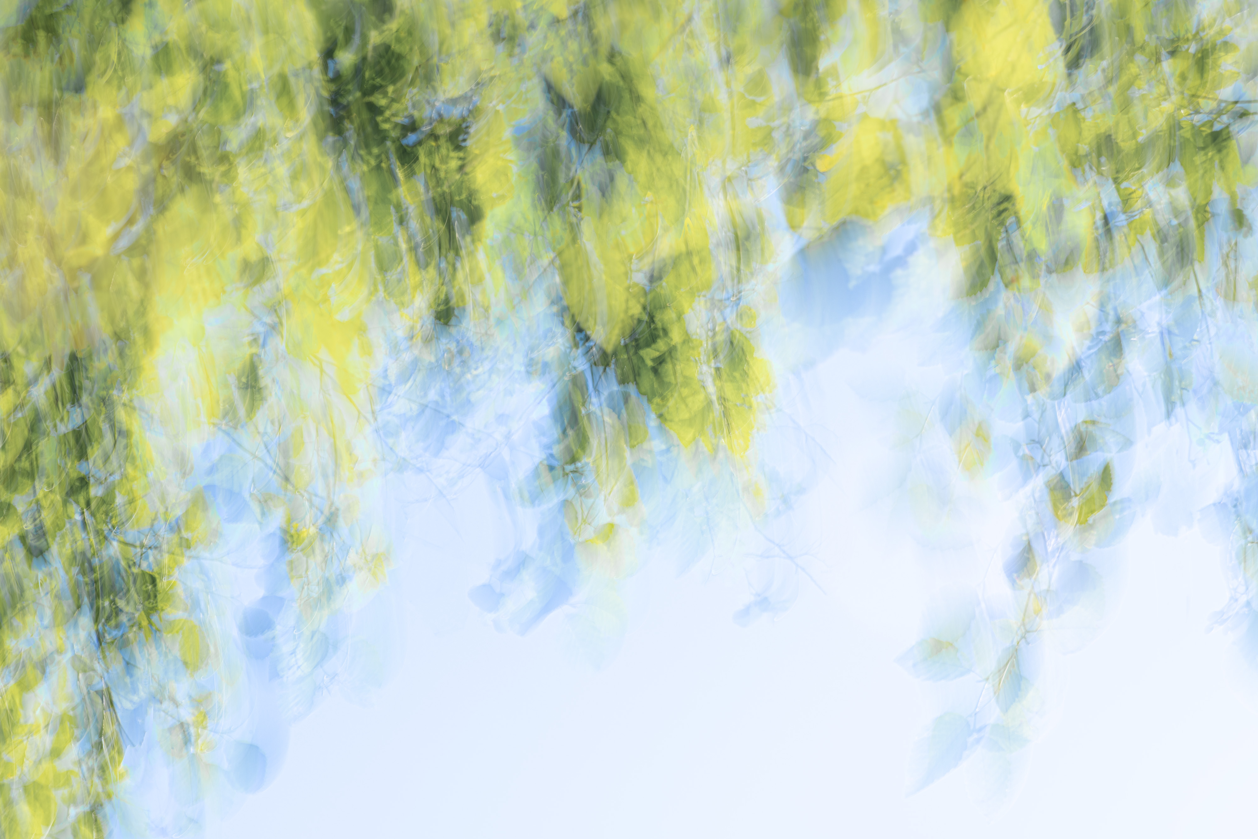 Bend Down the Branches