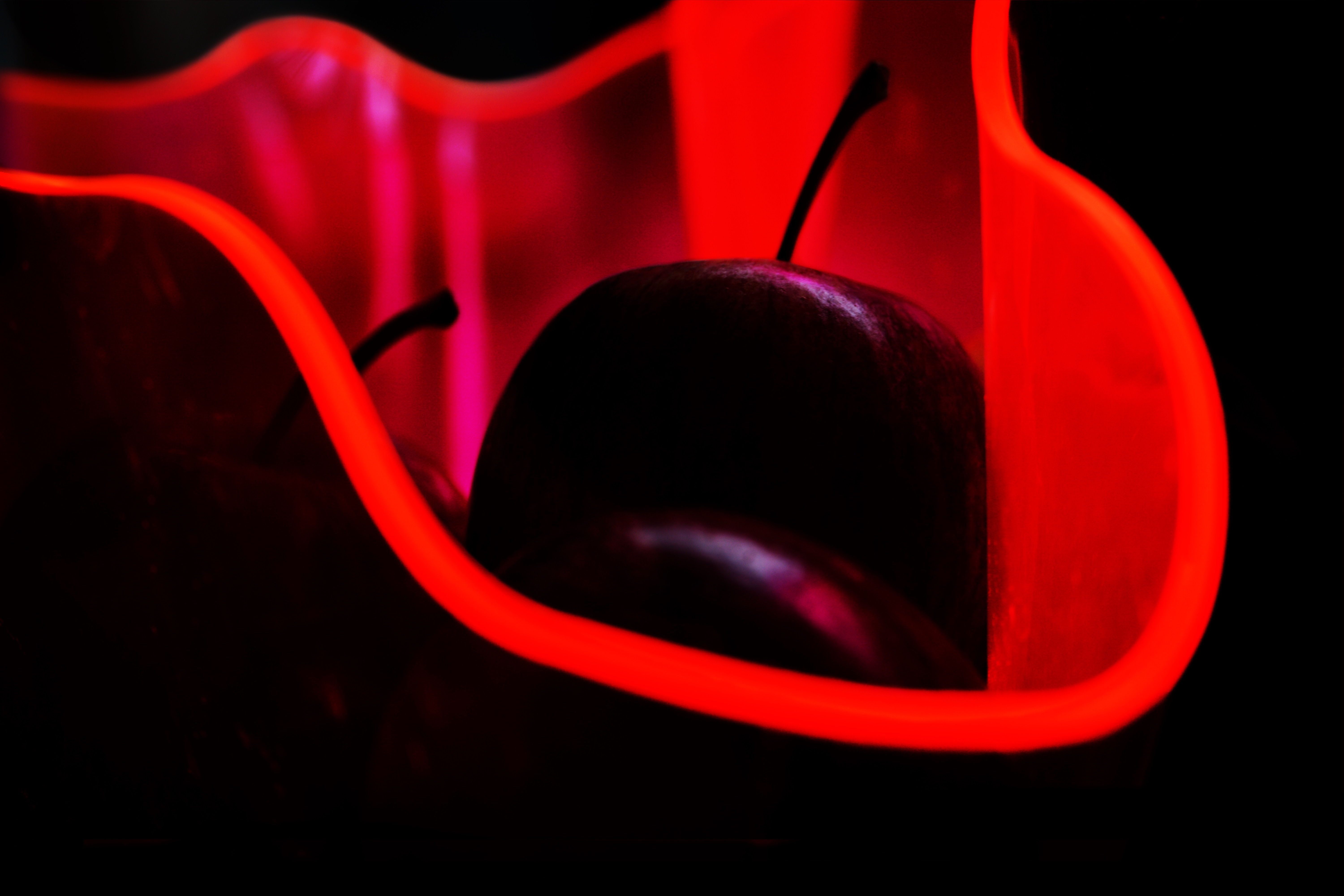 The Poisoned Apples, 2073