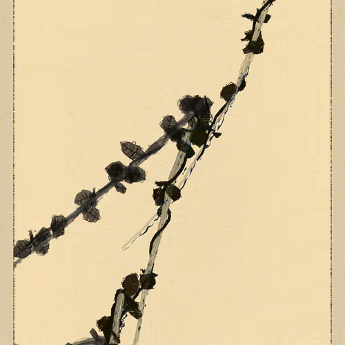 Polypaths | 植徑集 #176