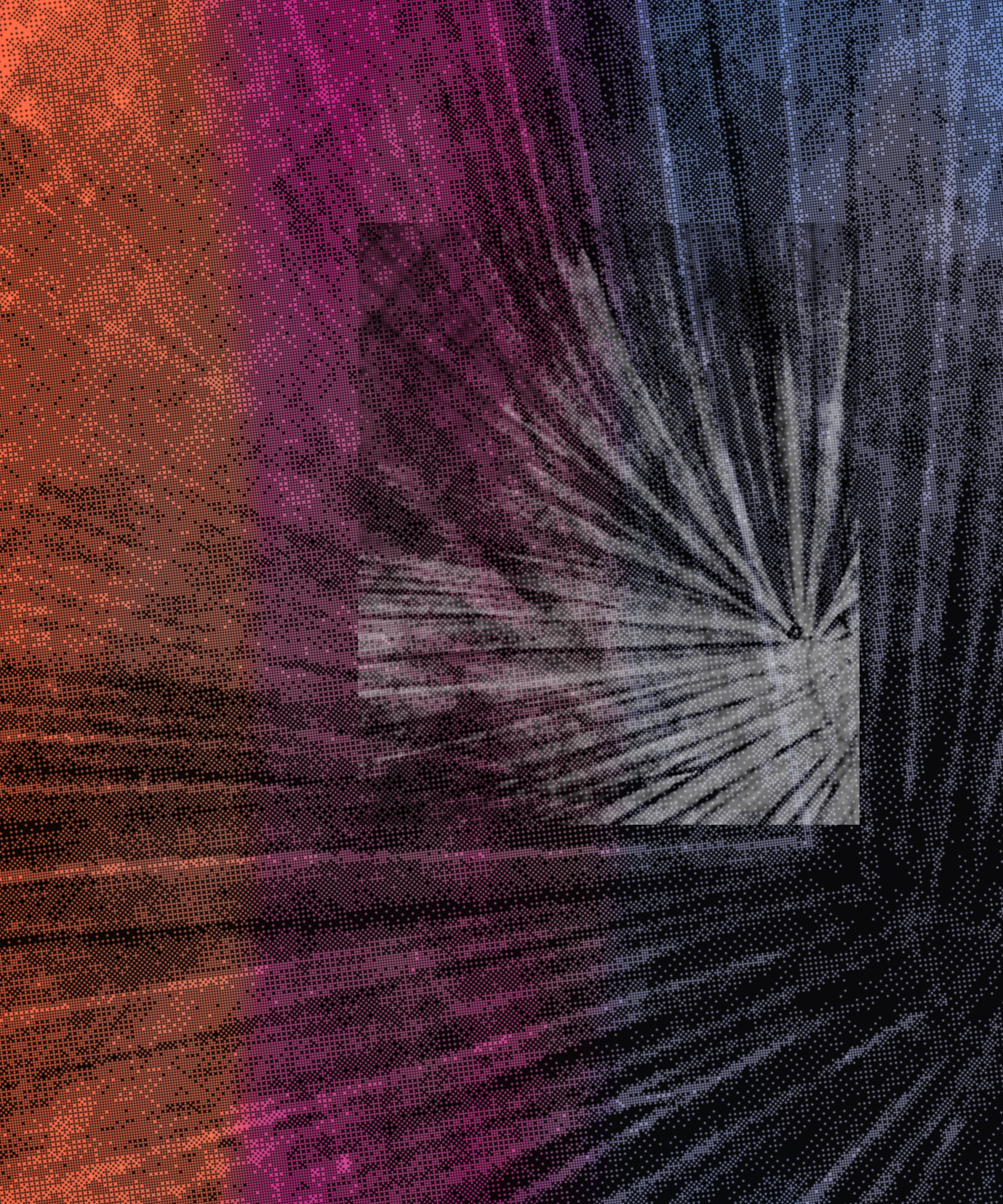 the spring begins with the first rainstorm #142