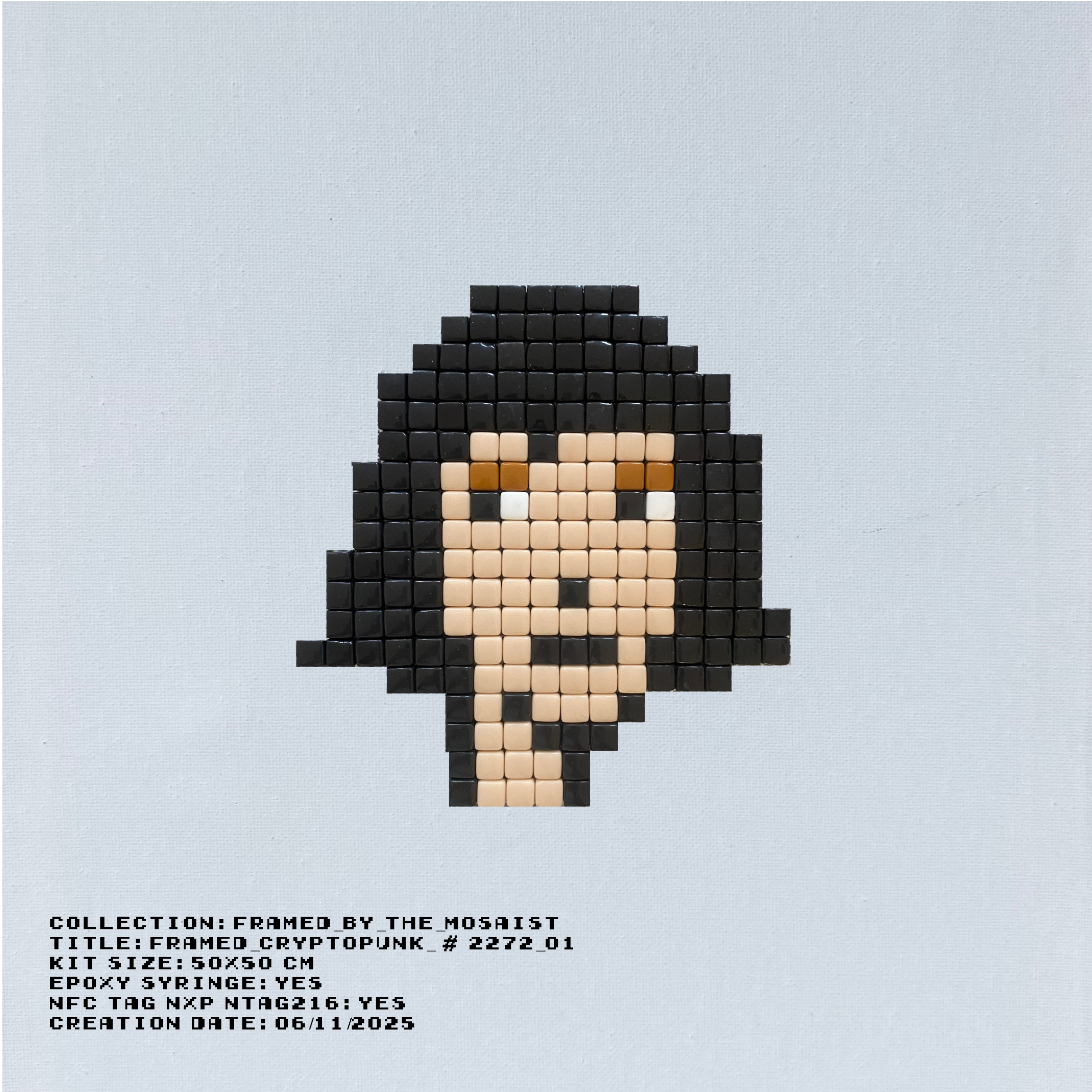 Framed_Cryptopunk_#2272_01