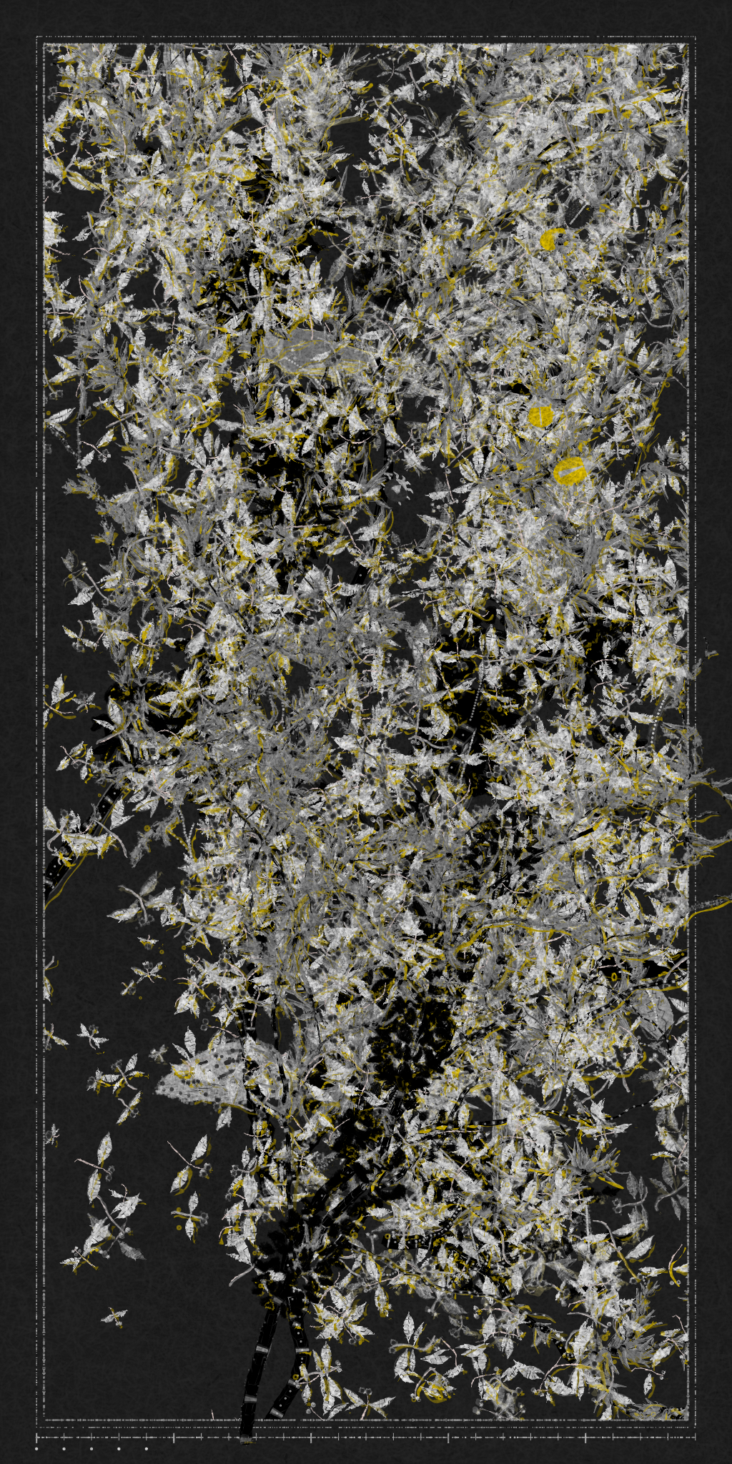 Polypaths | 植徑集 #191