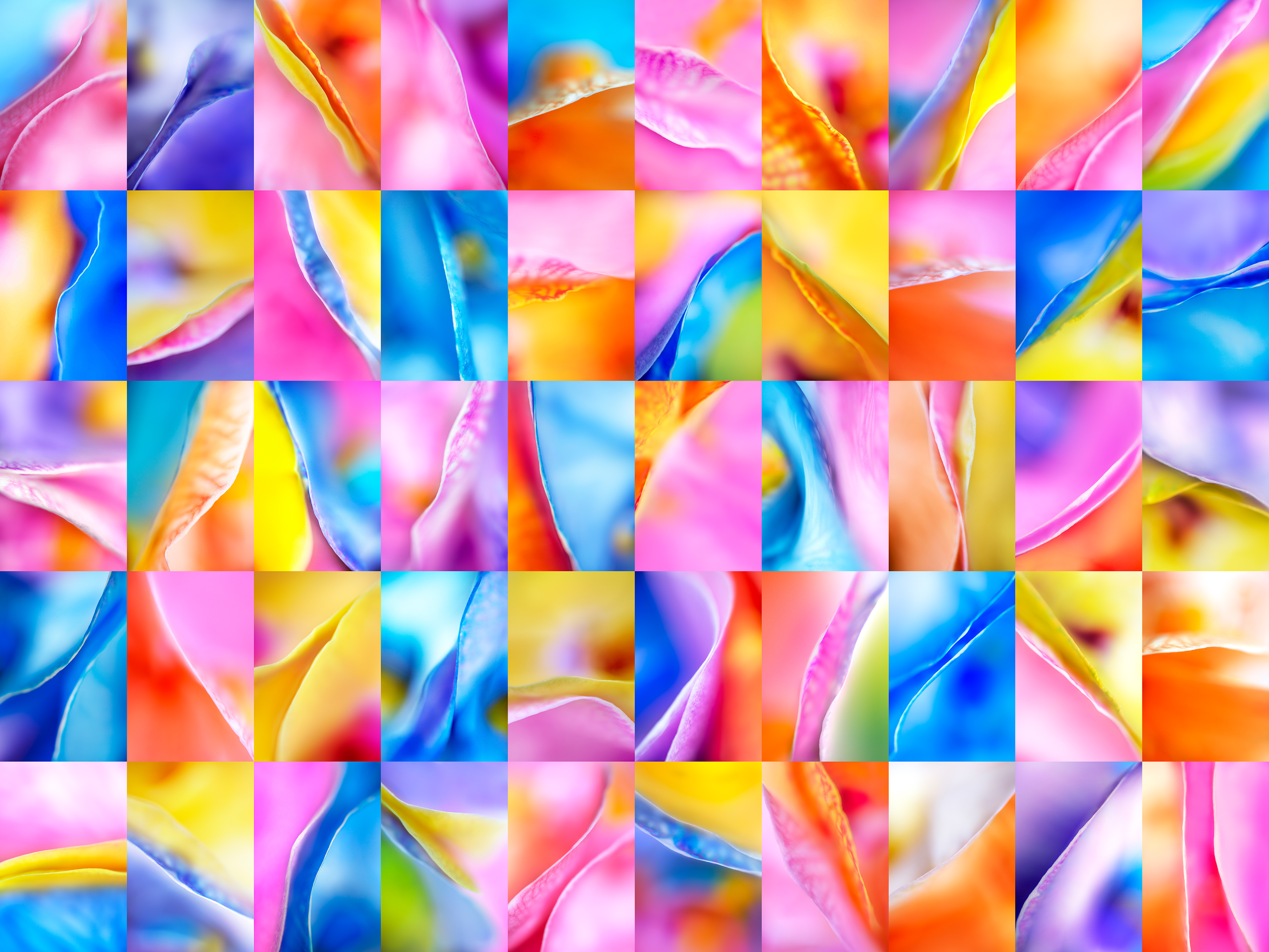 We Are Rainbows - 50