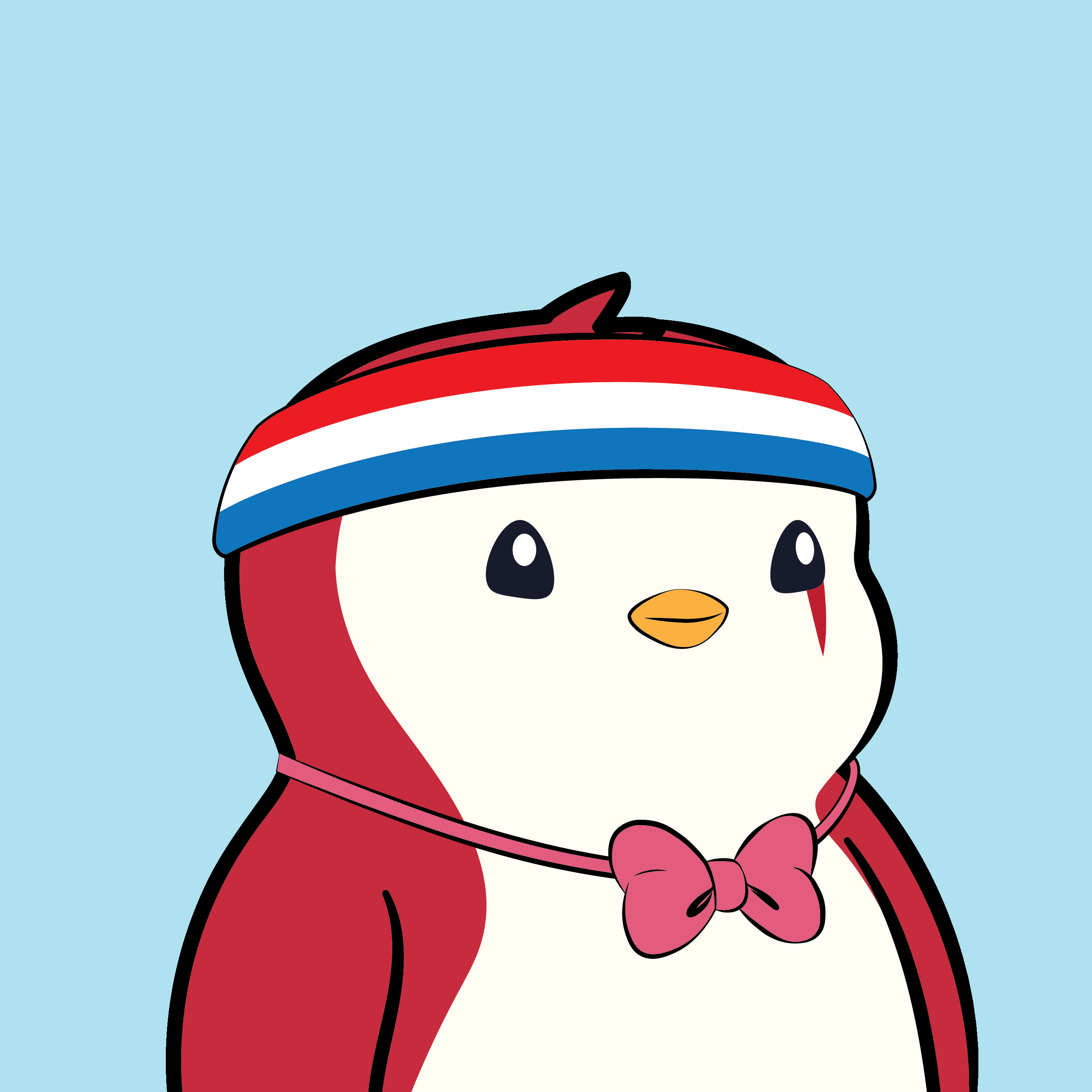 Pudgy #1638