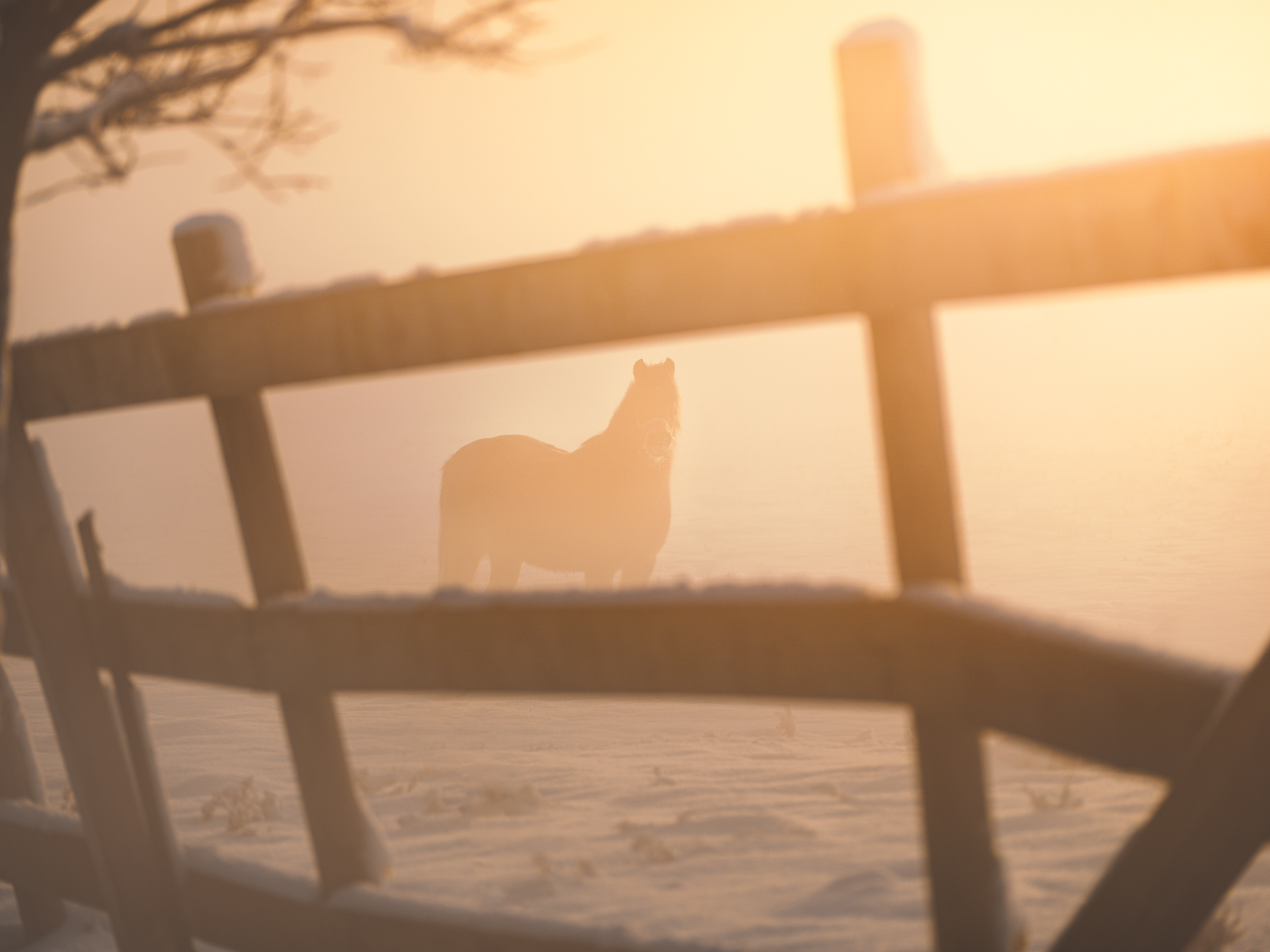 Seasonal Collection Airdrop #1