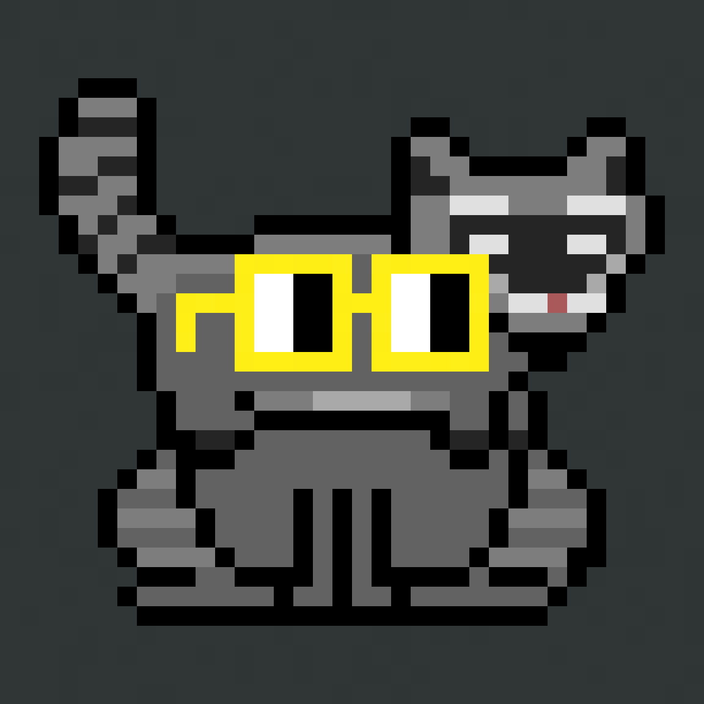 Noadz #404 - Raccoon