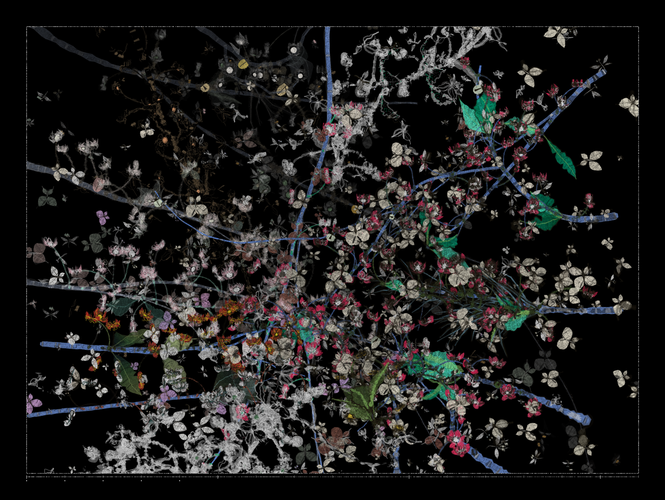 Polypaths | 植徑集 #114