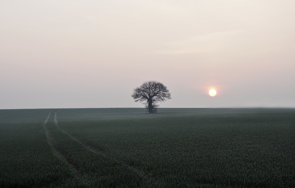 "Two roads diverged in a wood, and I took the one less traveled by, And that has made all the difference."