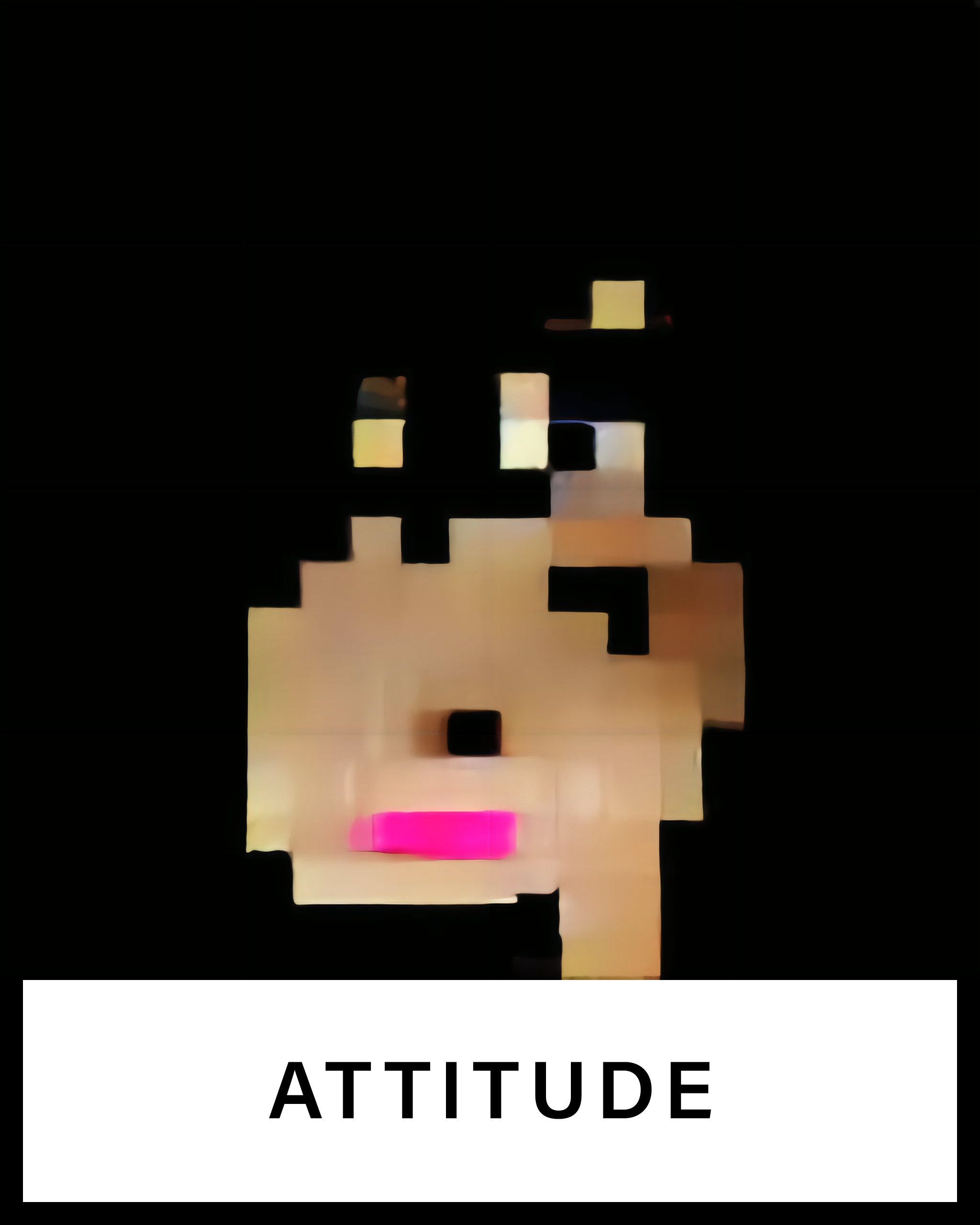ATTITUDE