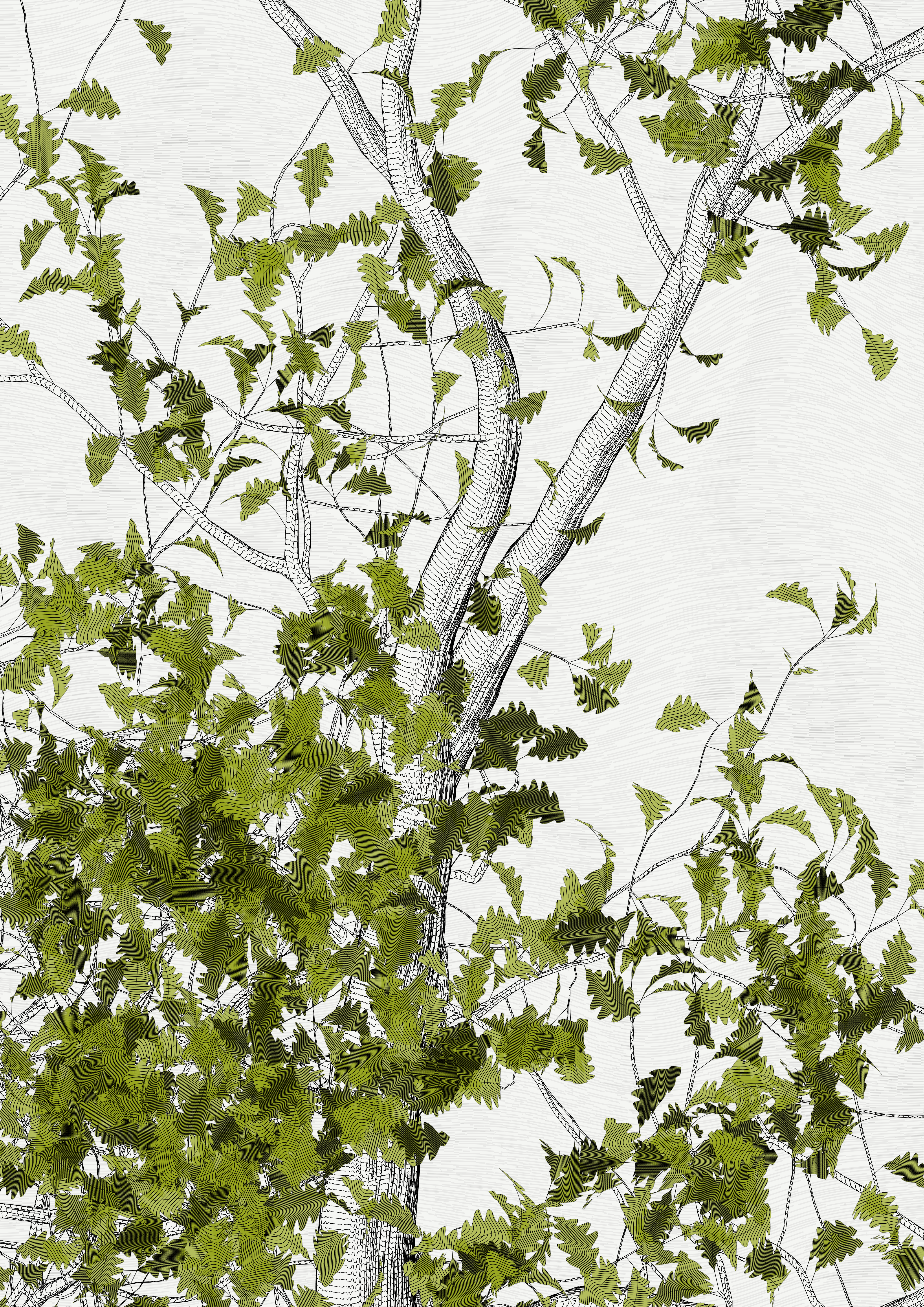 The Oak Tree part #0,+2