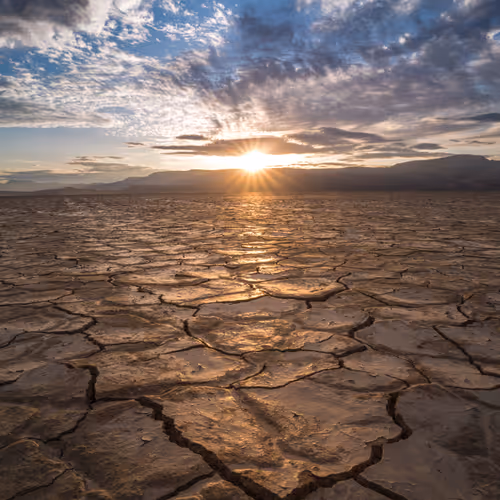 Alvord Sunset -ReGeneration Community #1 #16/21