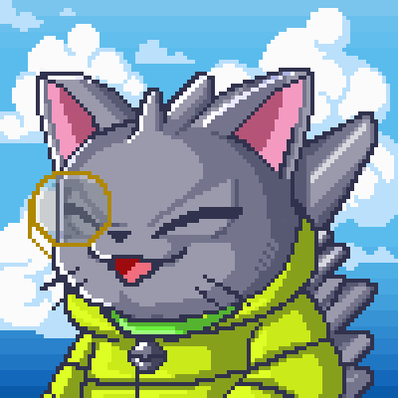 Akumu Cat #430
