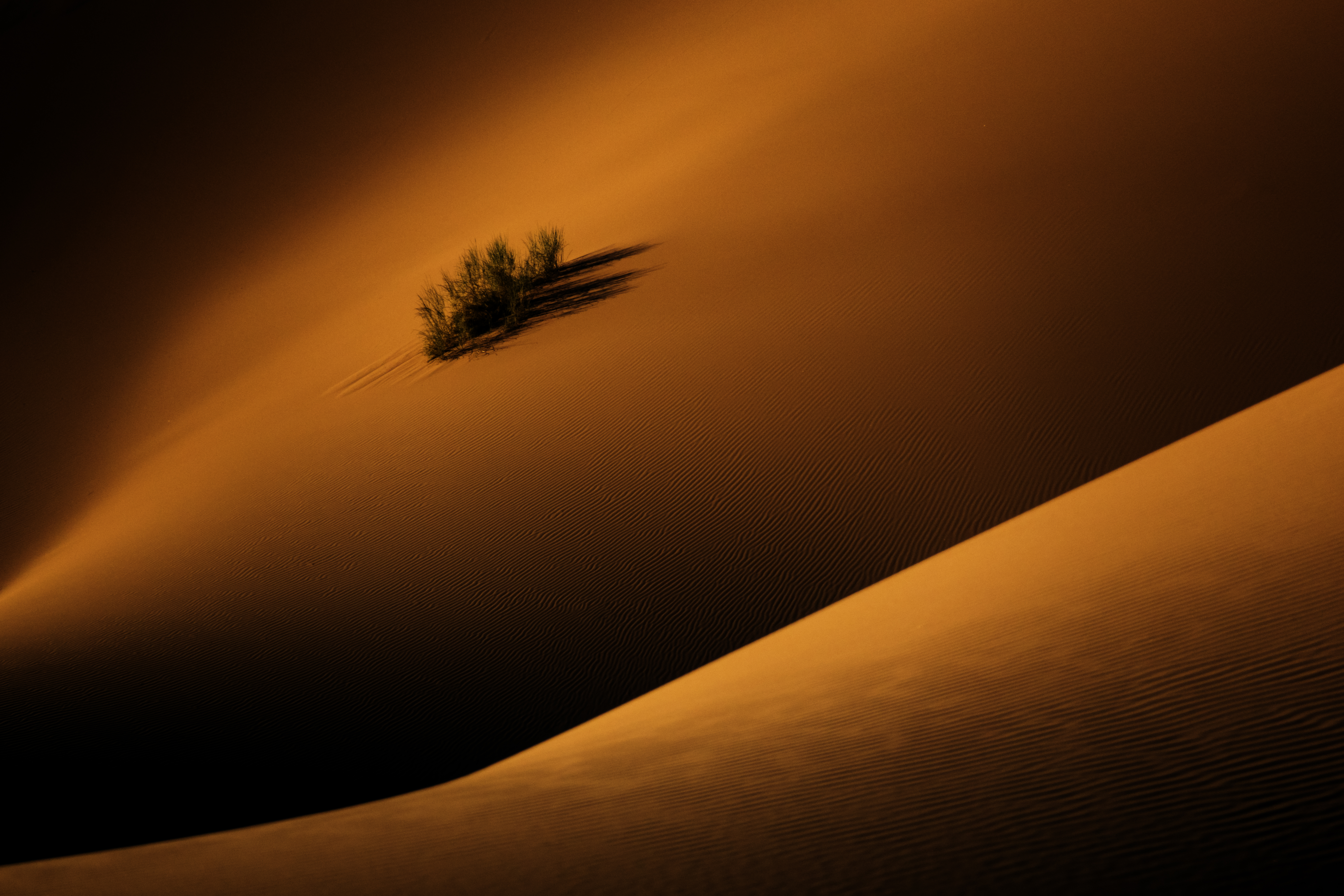 shapes of desert