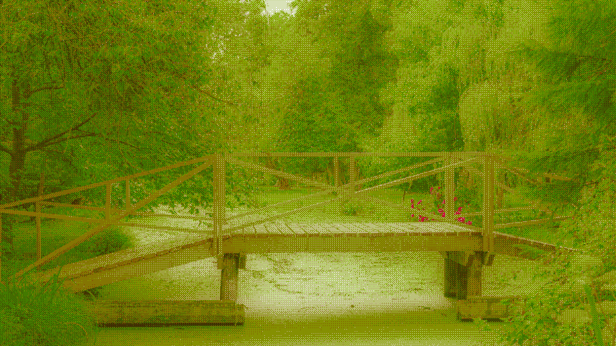 Still Waters Run Green