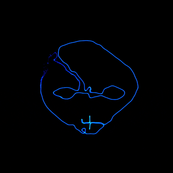 Representation of the Entity Blue