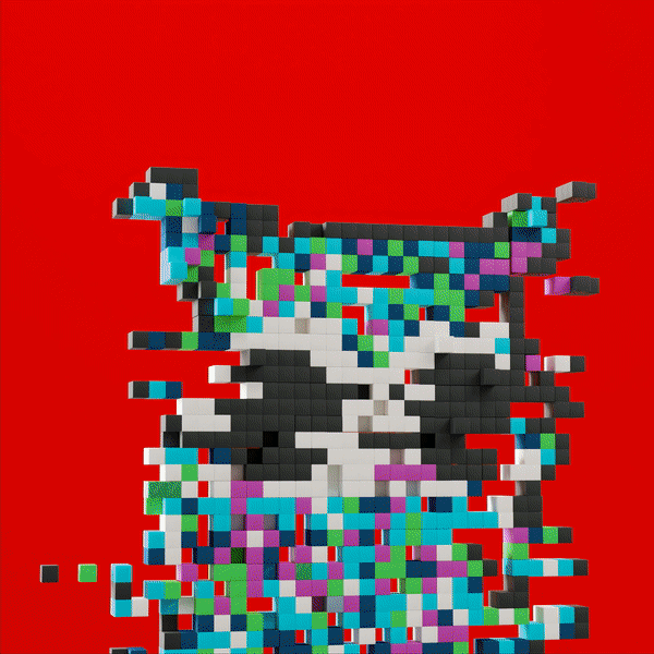 collage image-1 for the collection