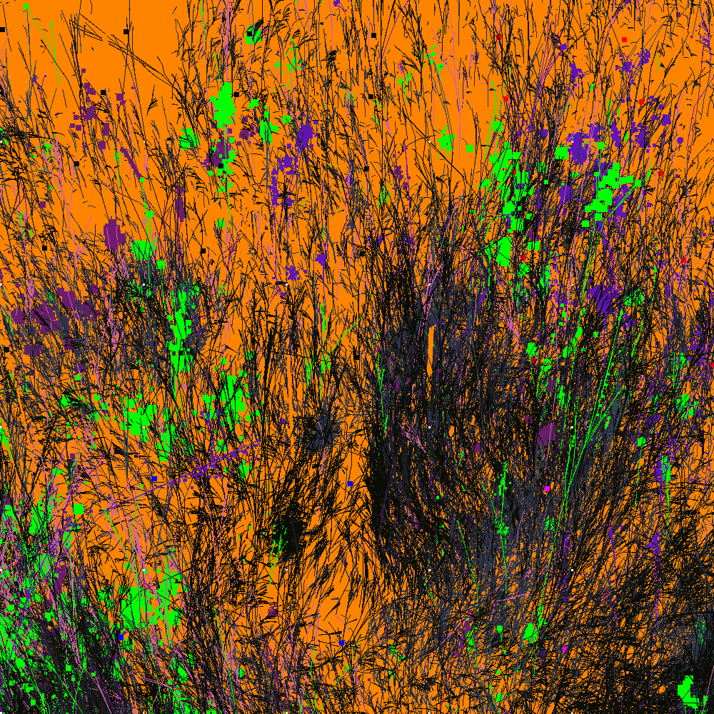 Infinite Garden: 219676 Flowers