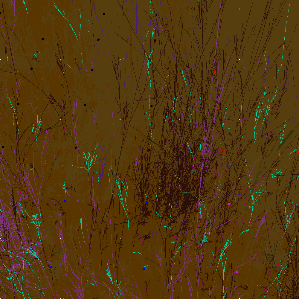 Infinite Garden: 98839 Flowers