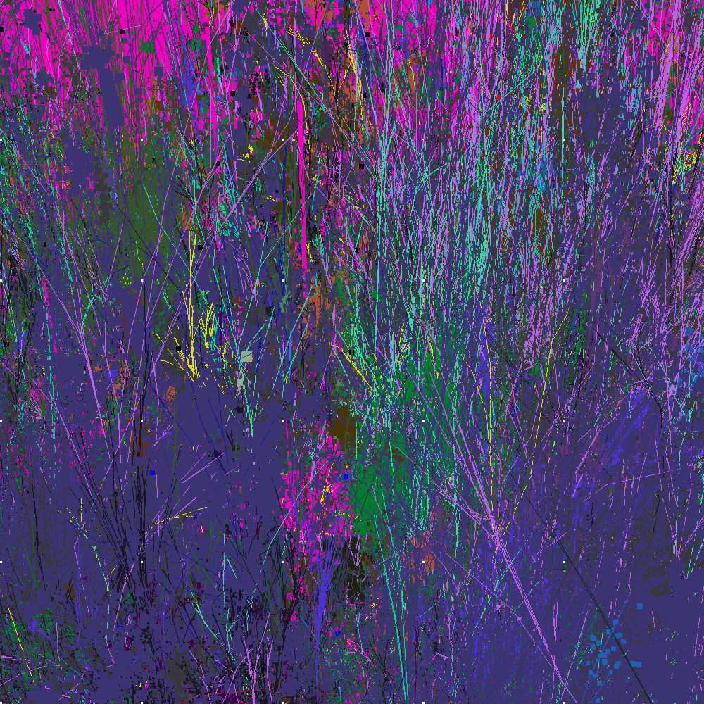 Infinite Garden: 145196 Flowers