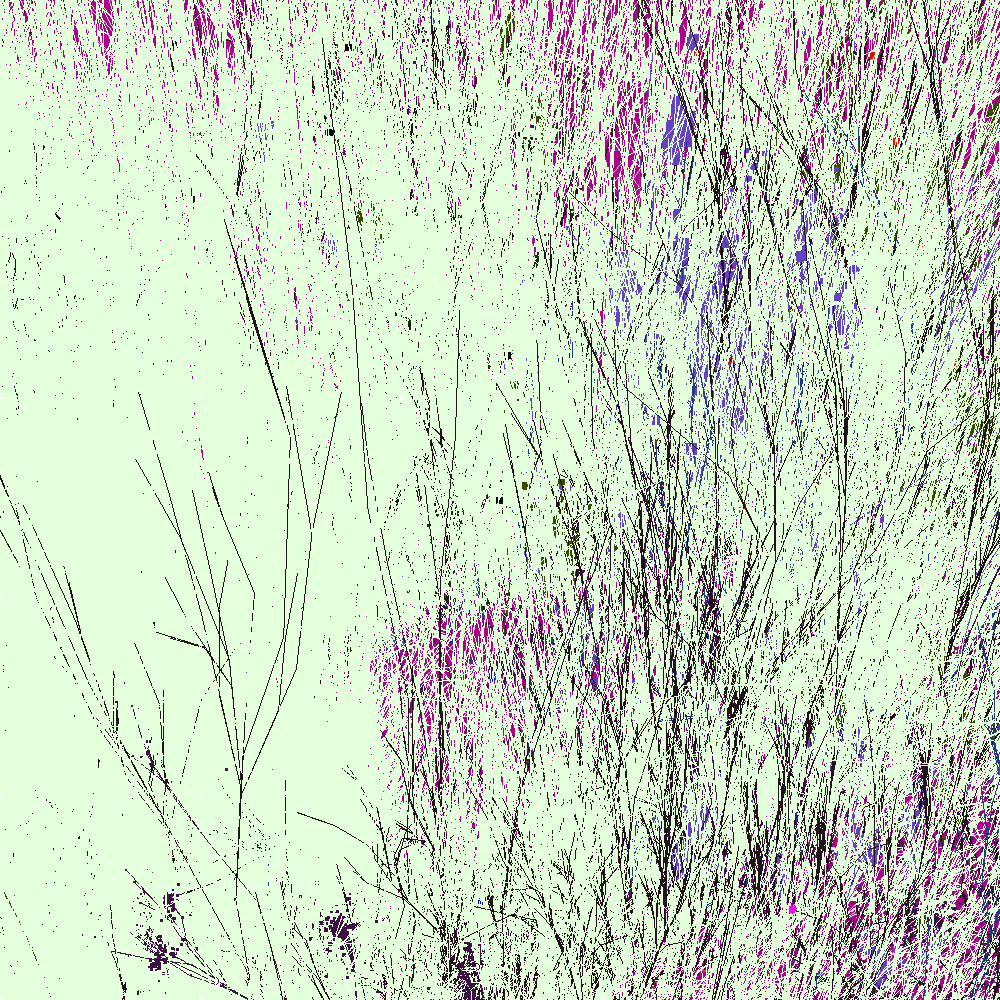 Infinite Garden: 205516 Flowers
