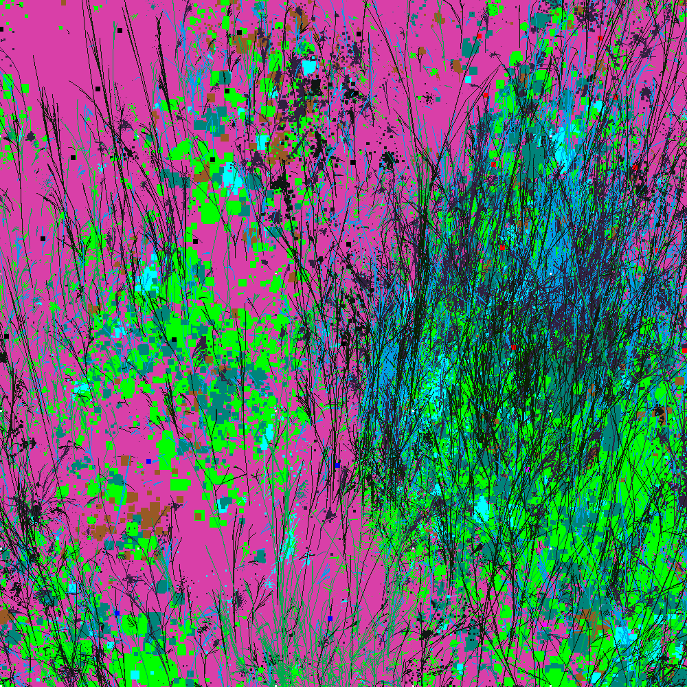 Infinite Garden: 65421 Flowers